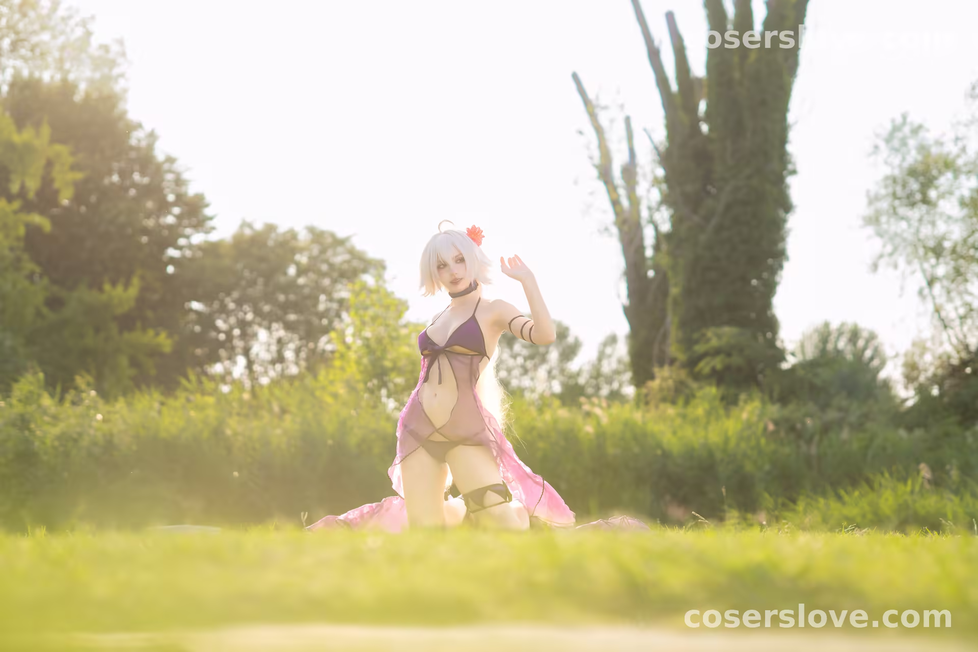 Photo 42