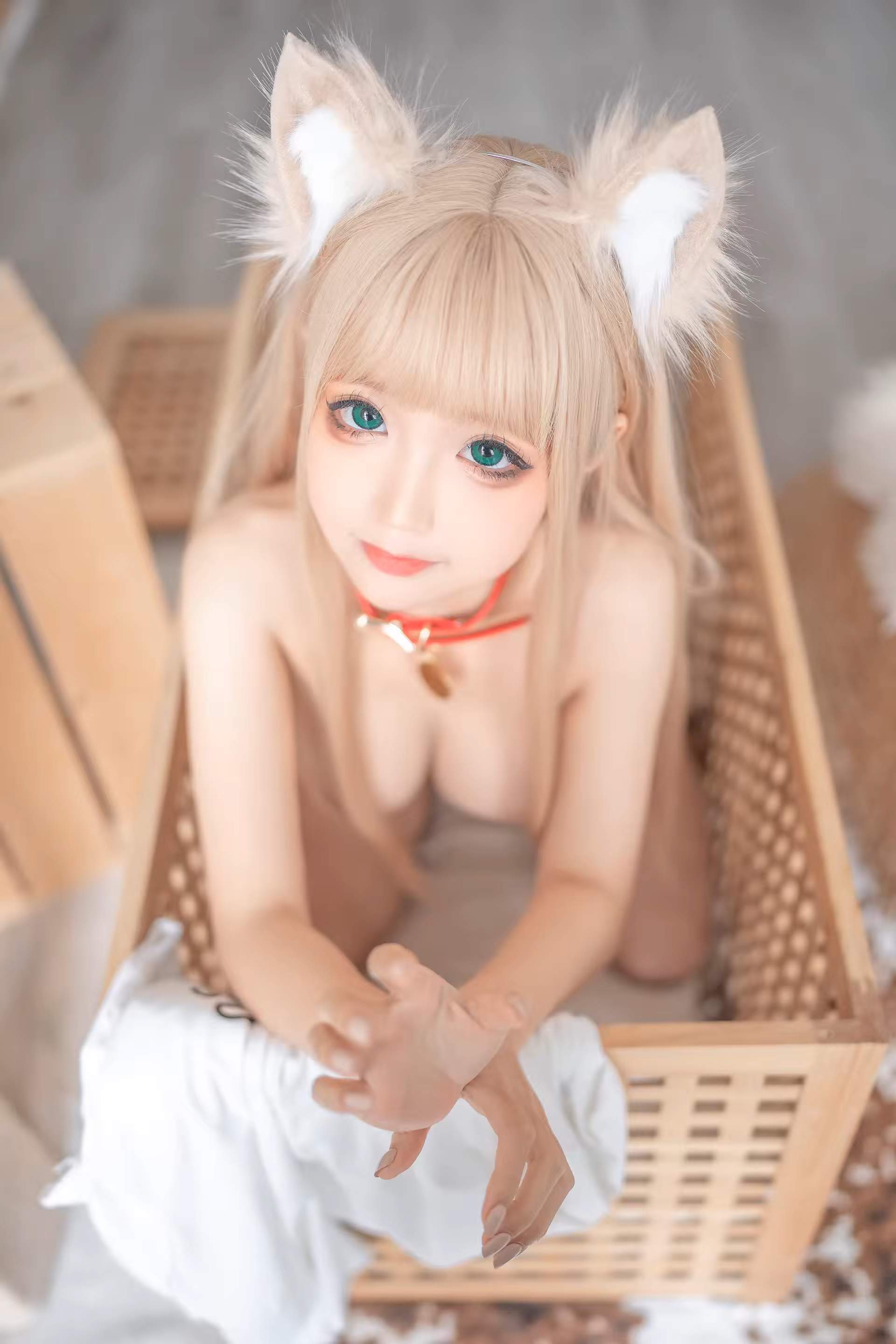 Photo 117