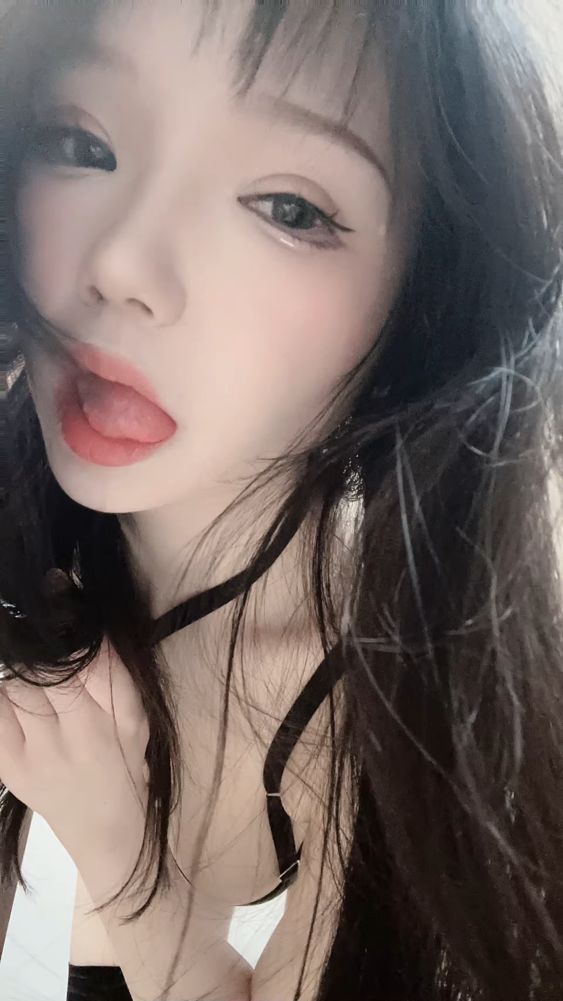 Photo 115