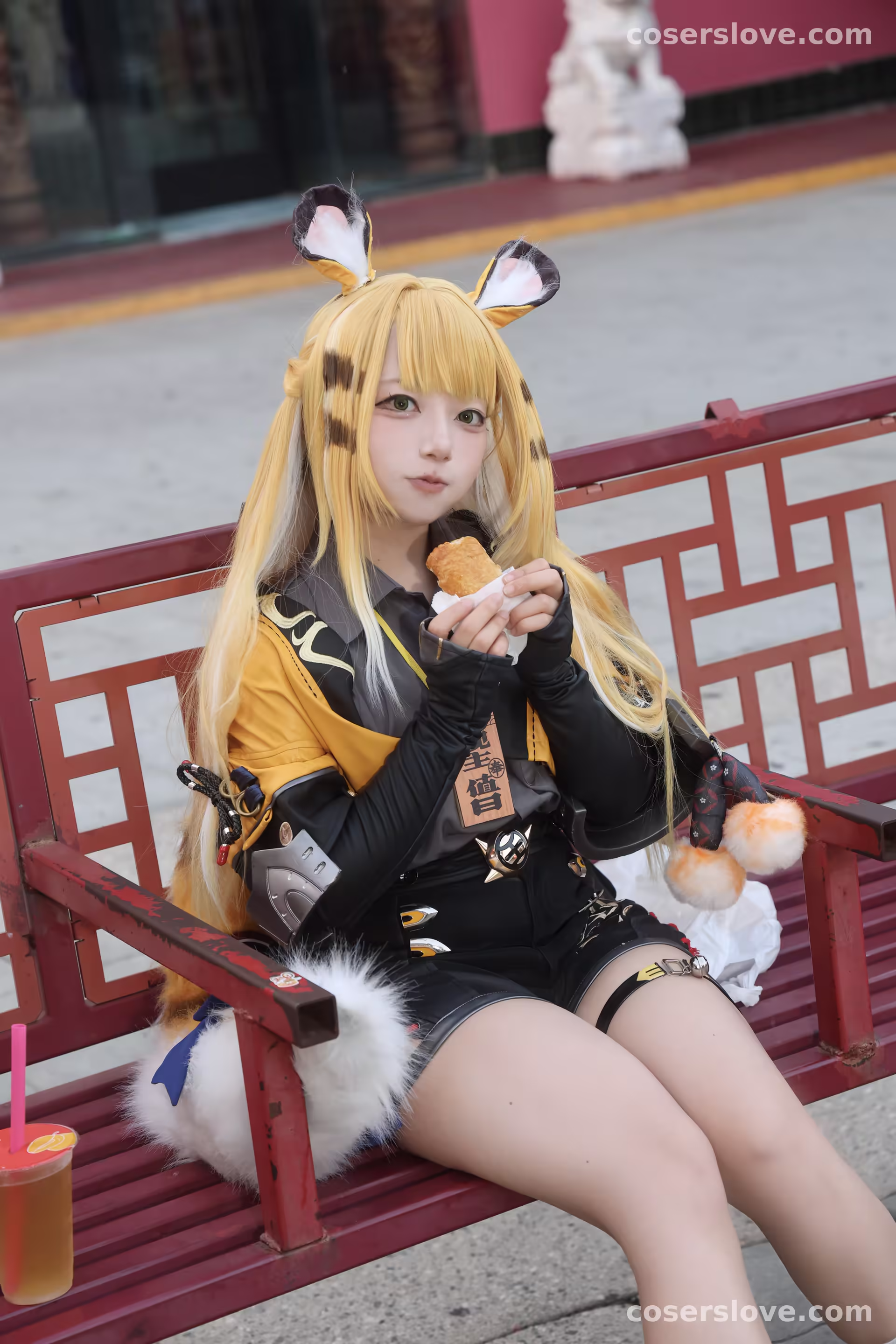 Photo 16