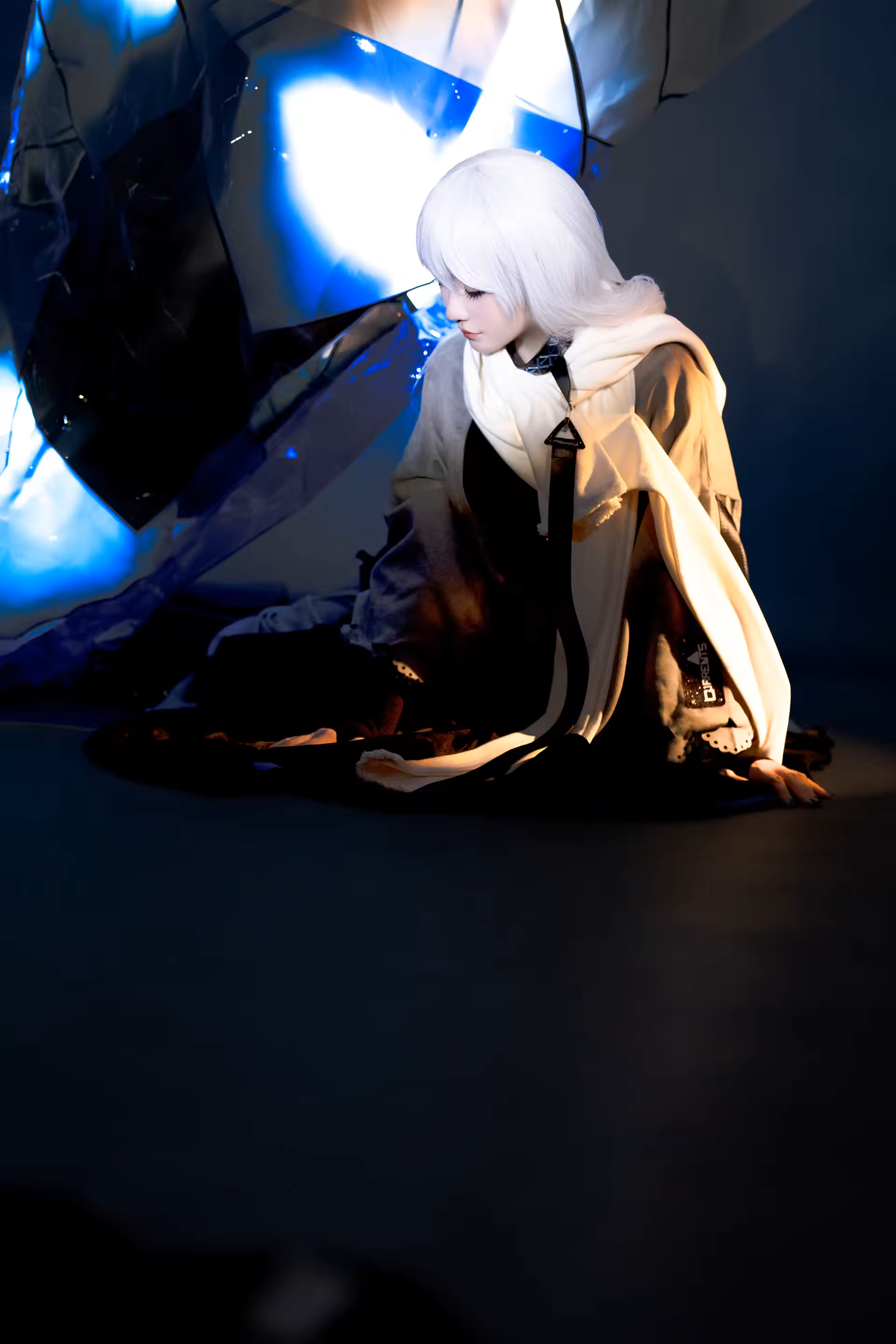 Photo 41