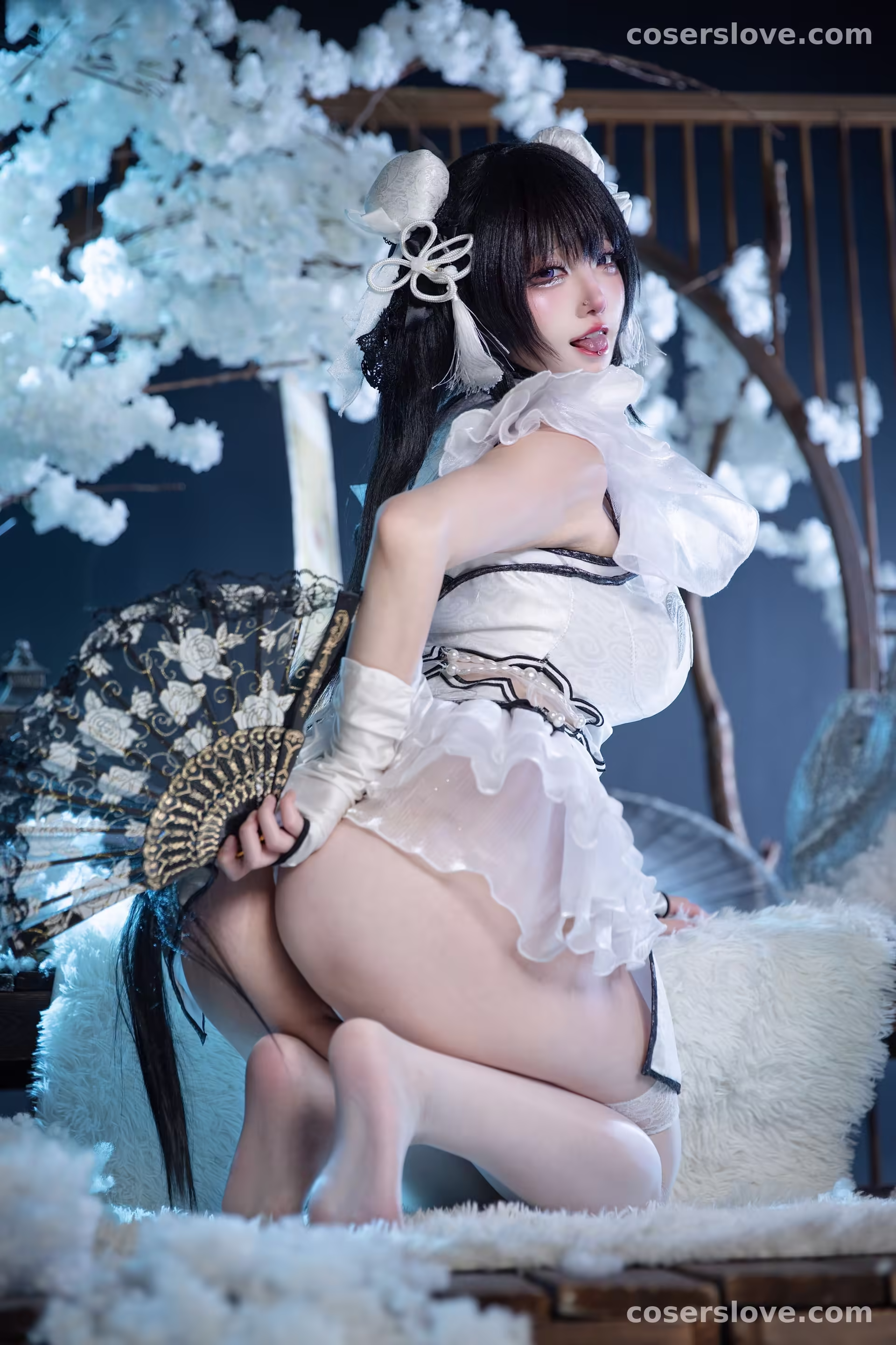 Photo 50