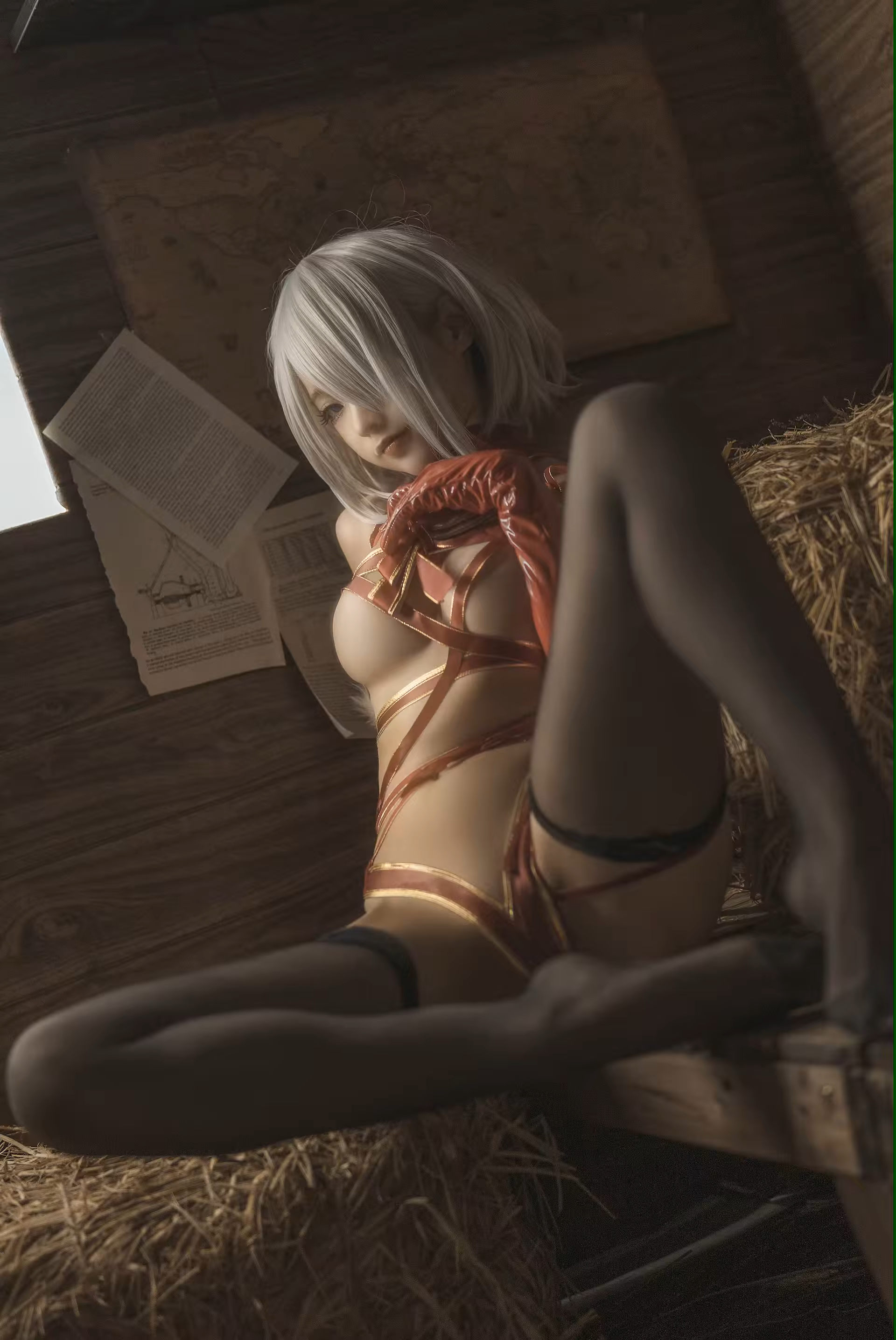 Photo 41