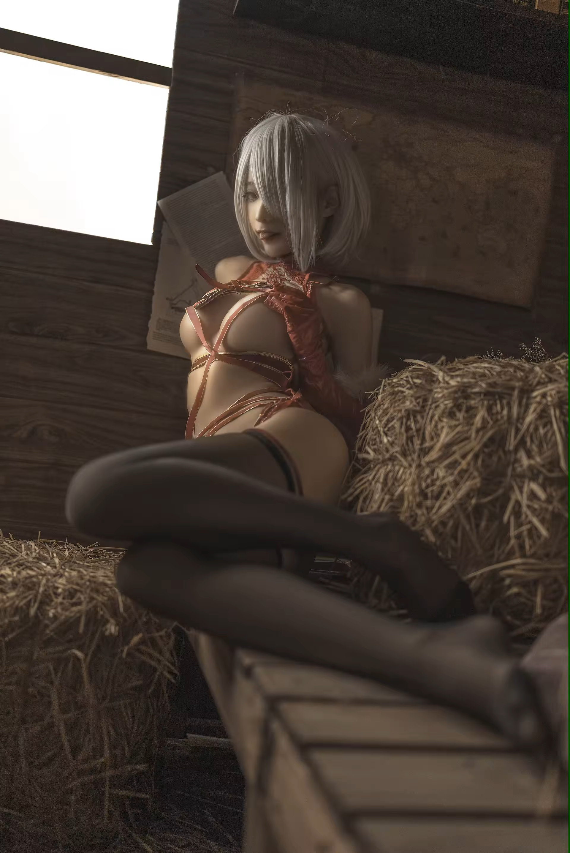 Photo 47