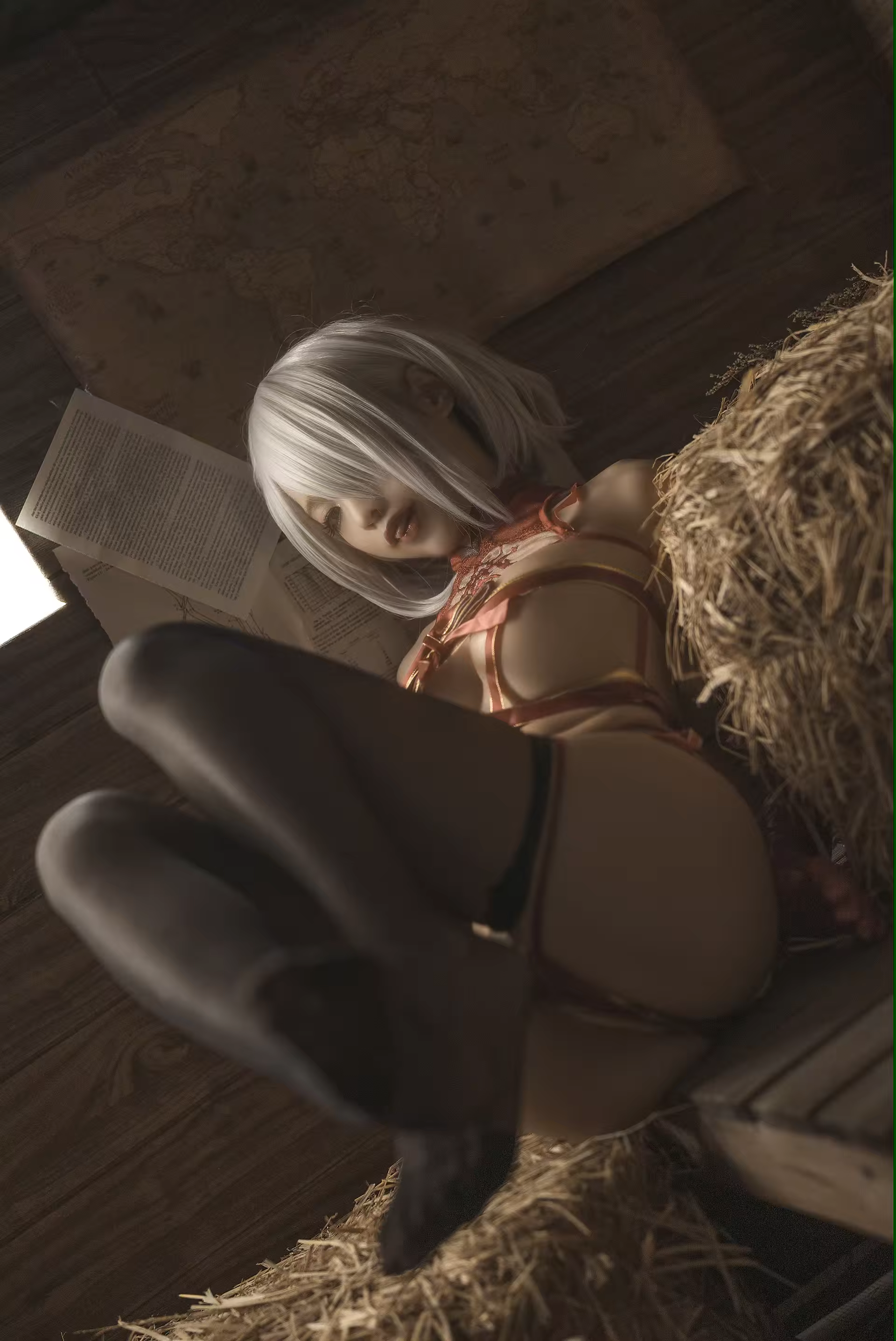 Photo 42