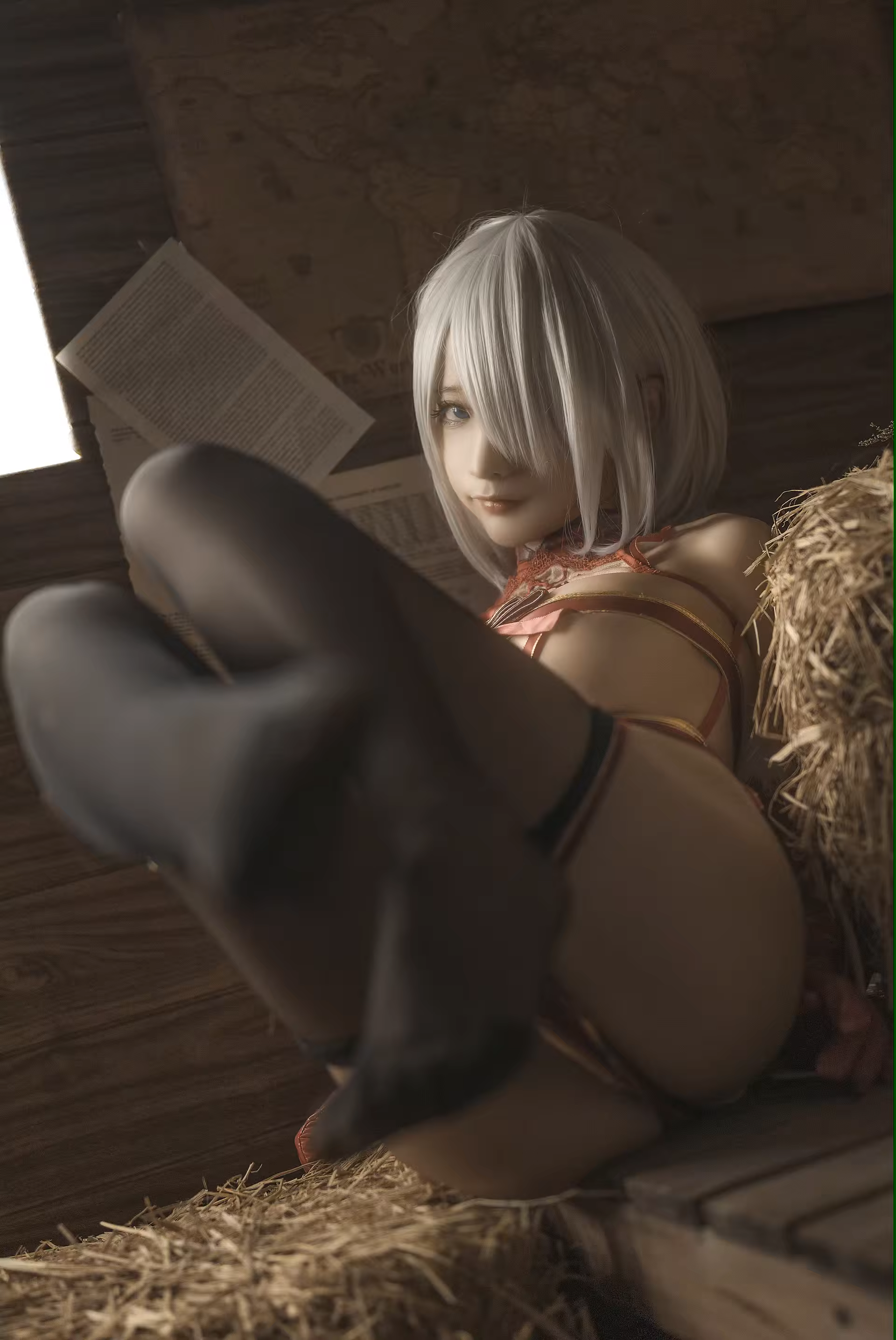Photo 43