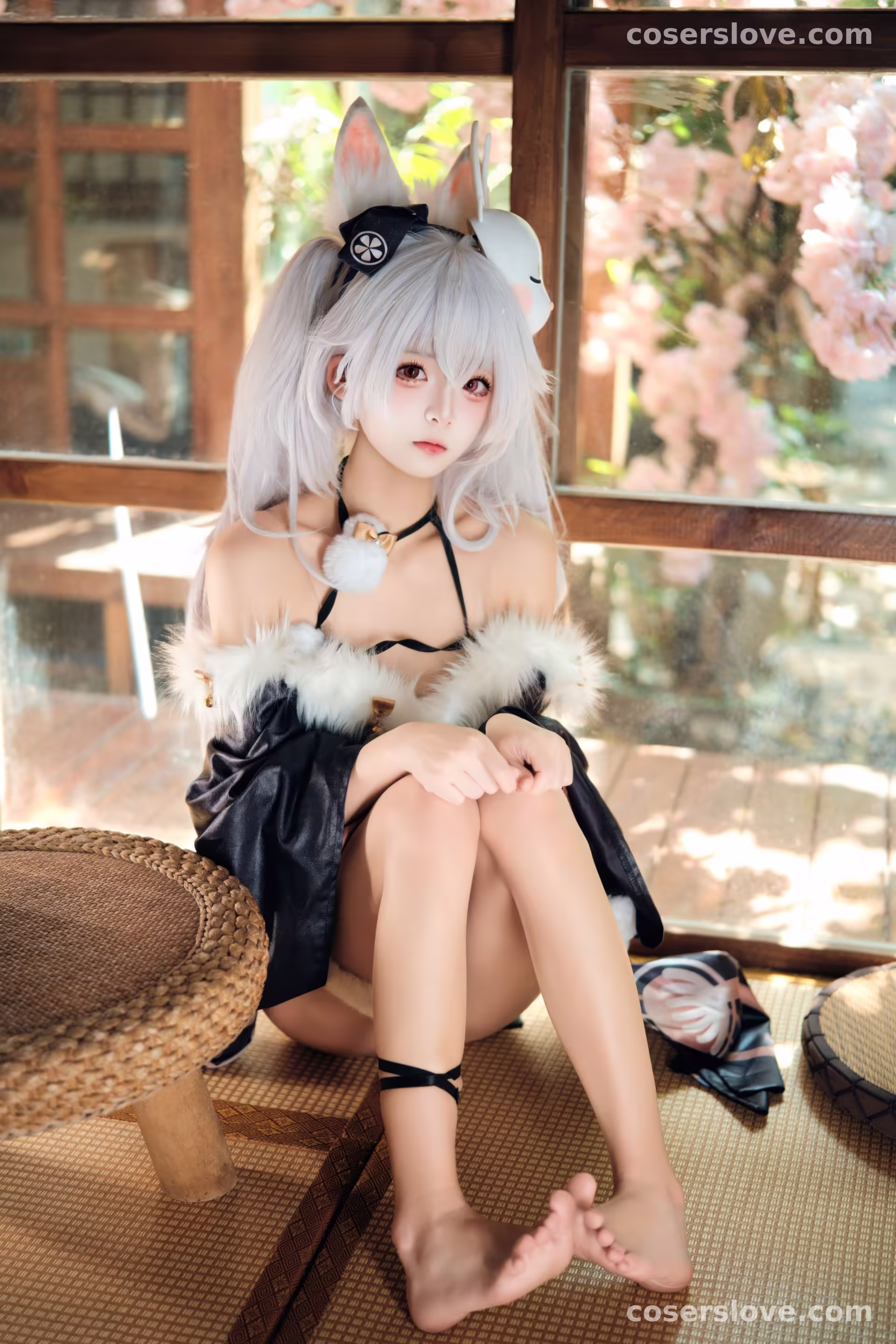 Photo 50