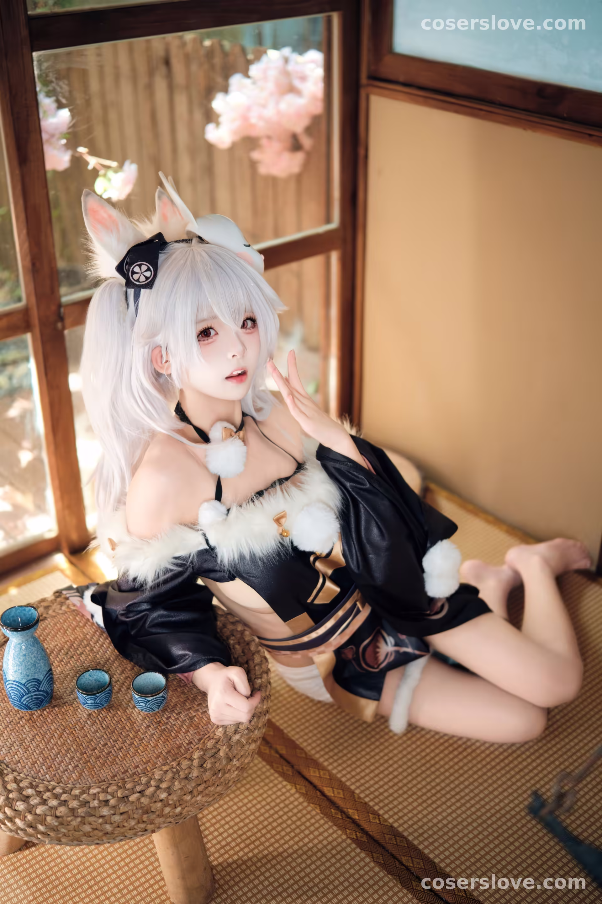 Photo 47