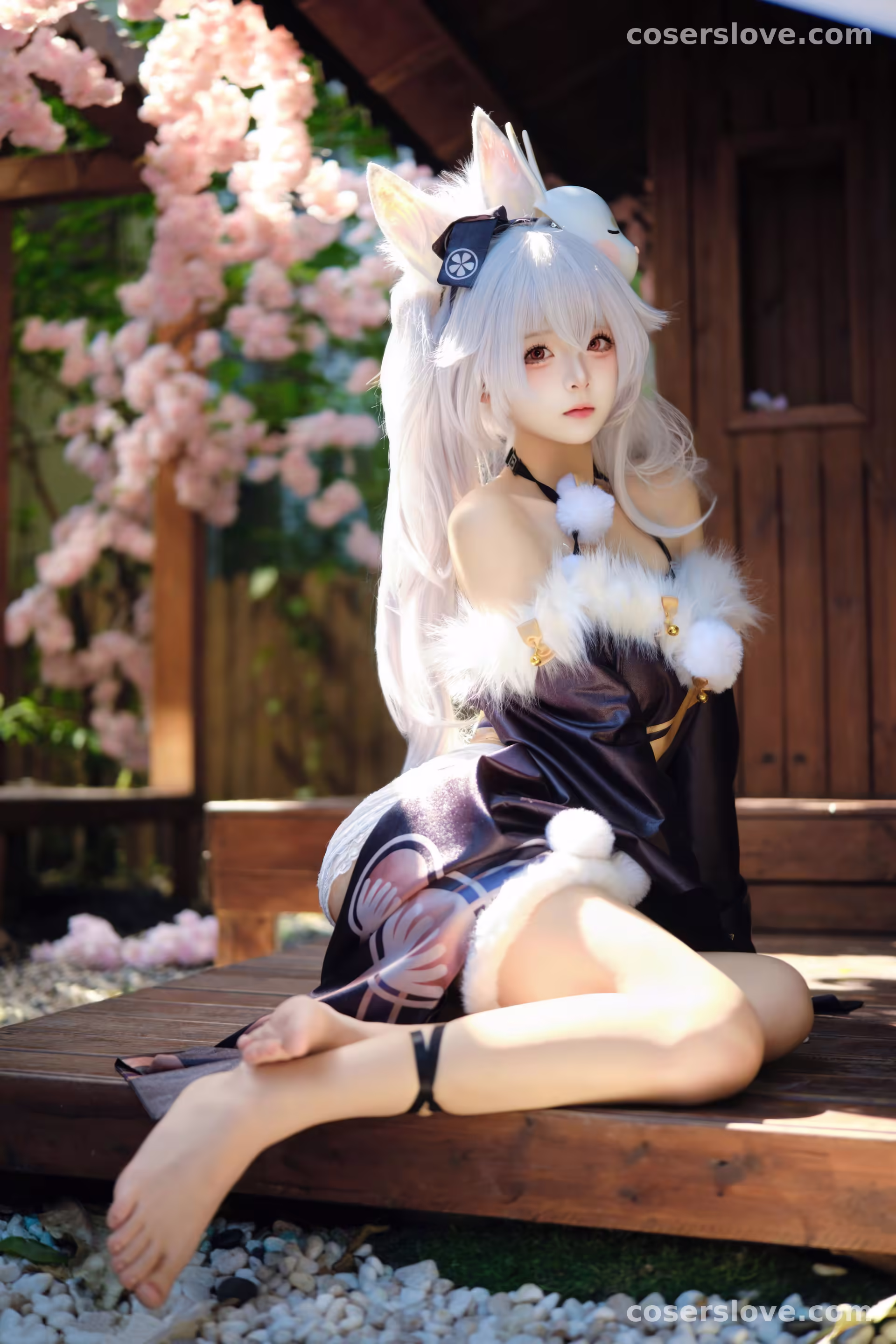 Photo 42