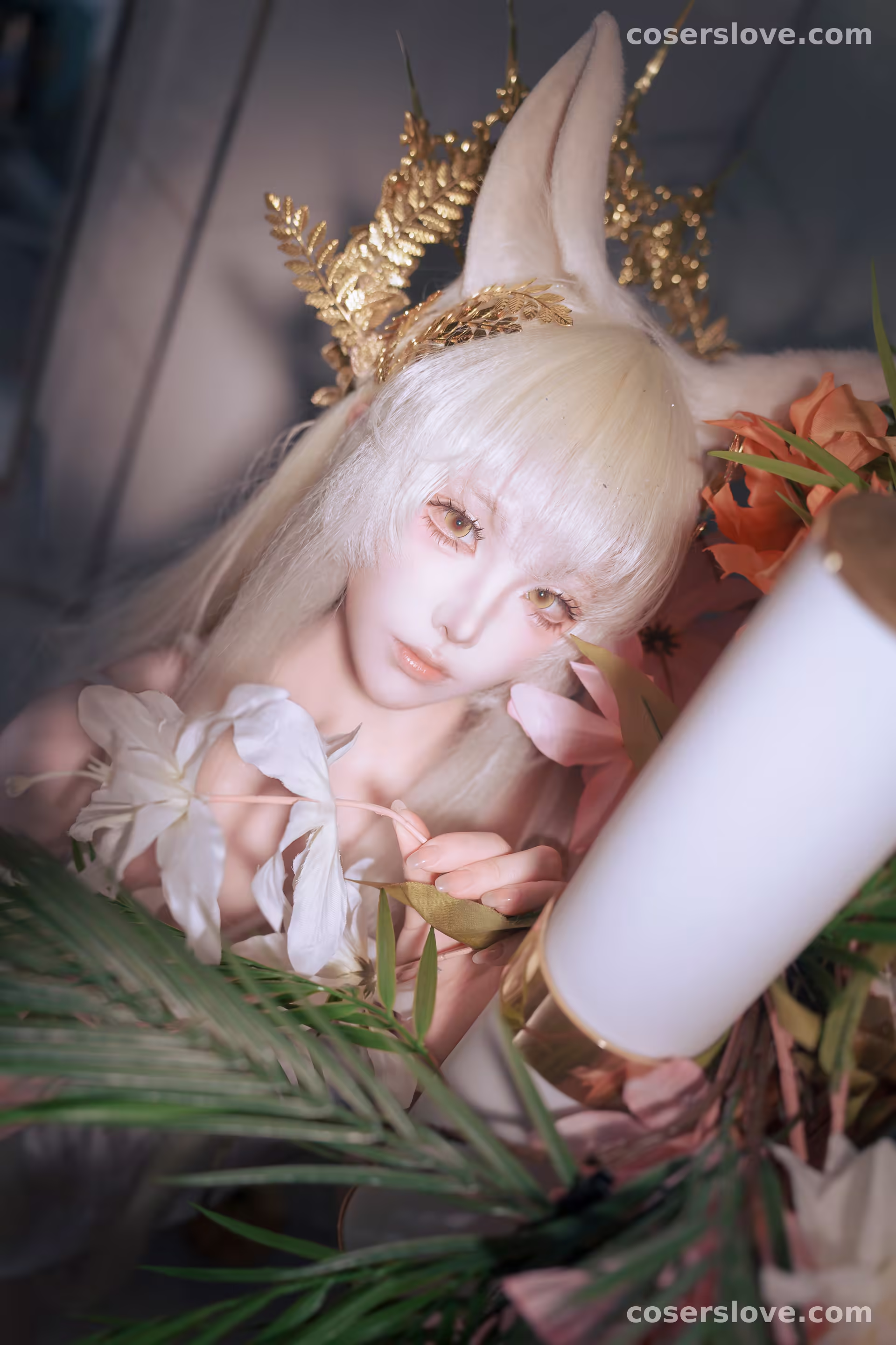 Photo 25