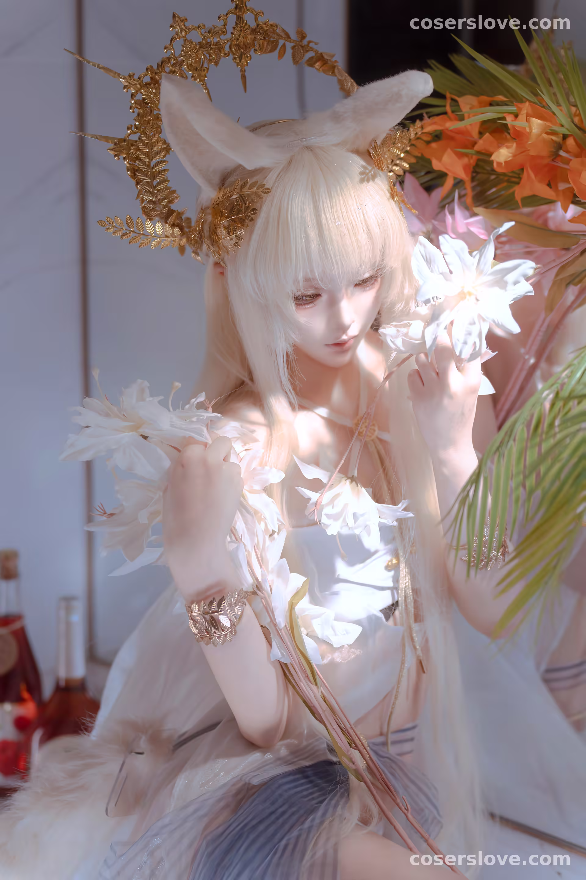 Photo 4