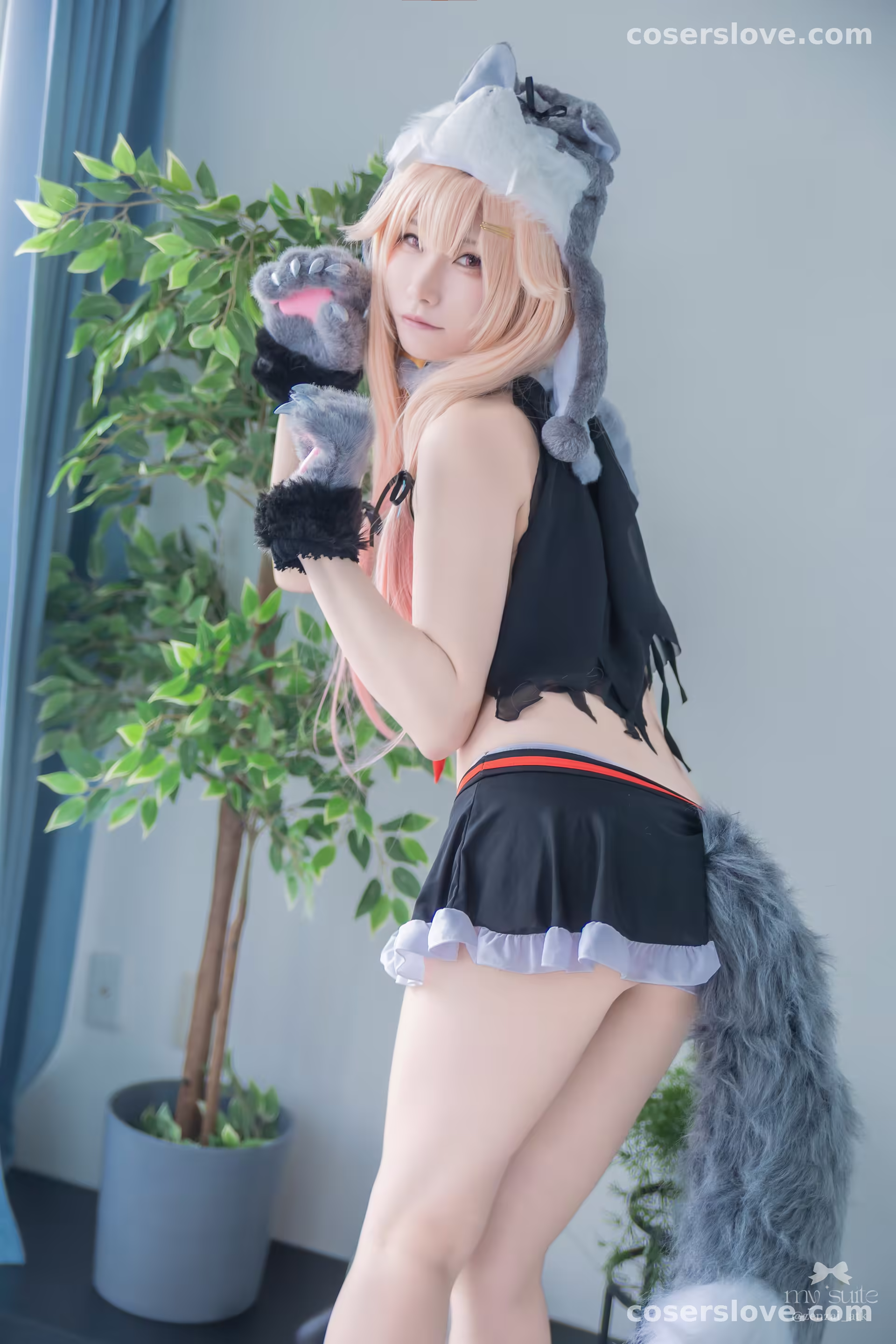 Photo 8