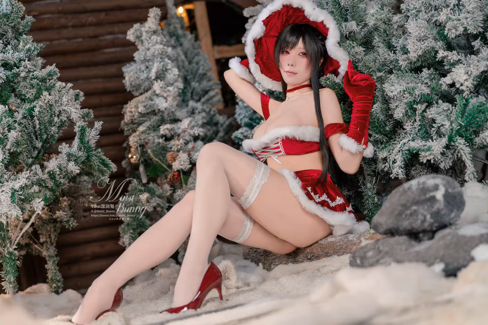 Photo 41