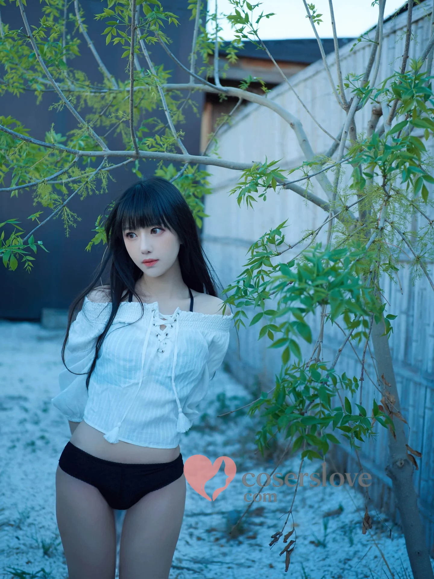 Photo 11