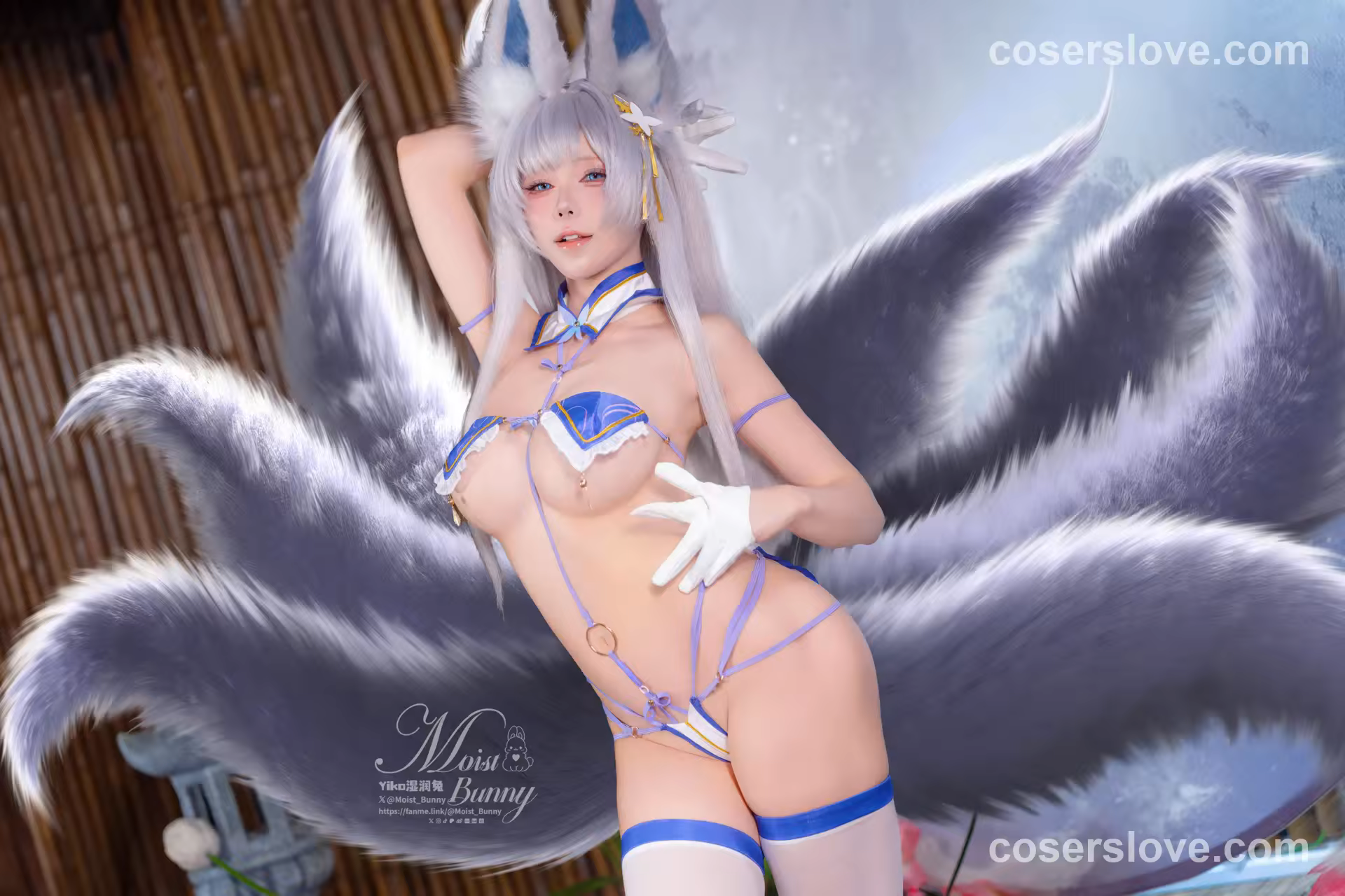 Photo 48