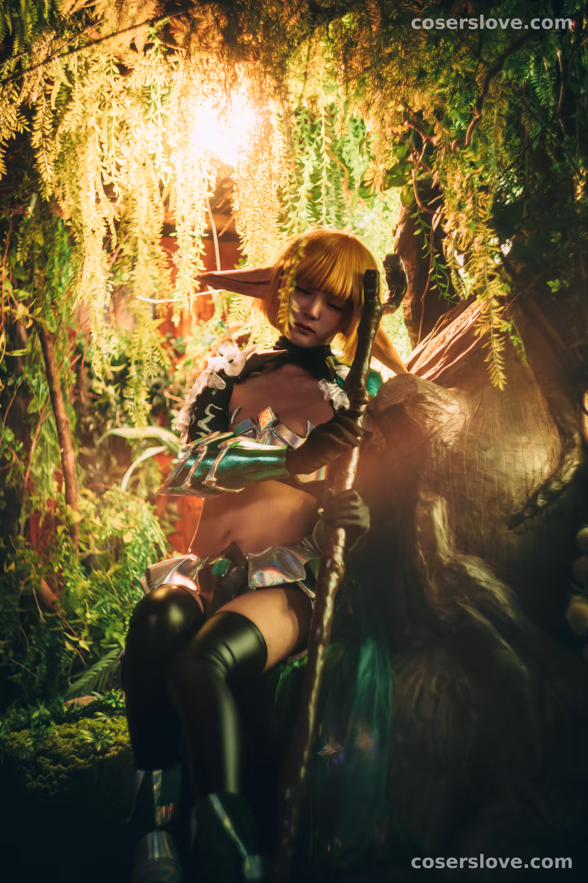 Photo 37