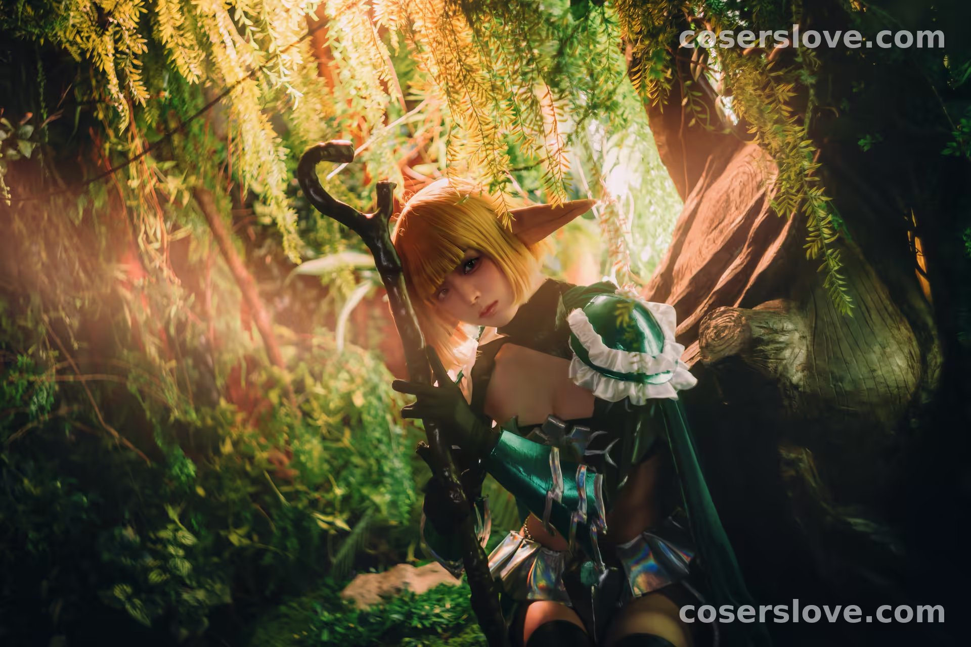 Photo 41