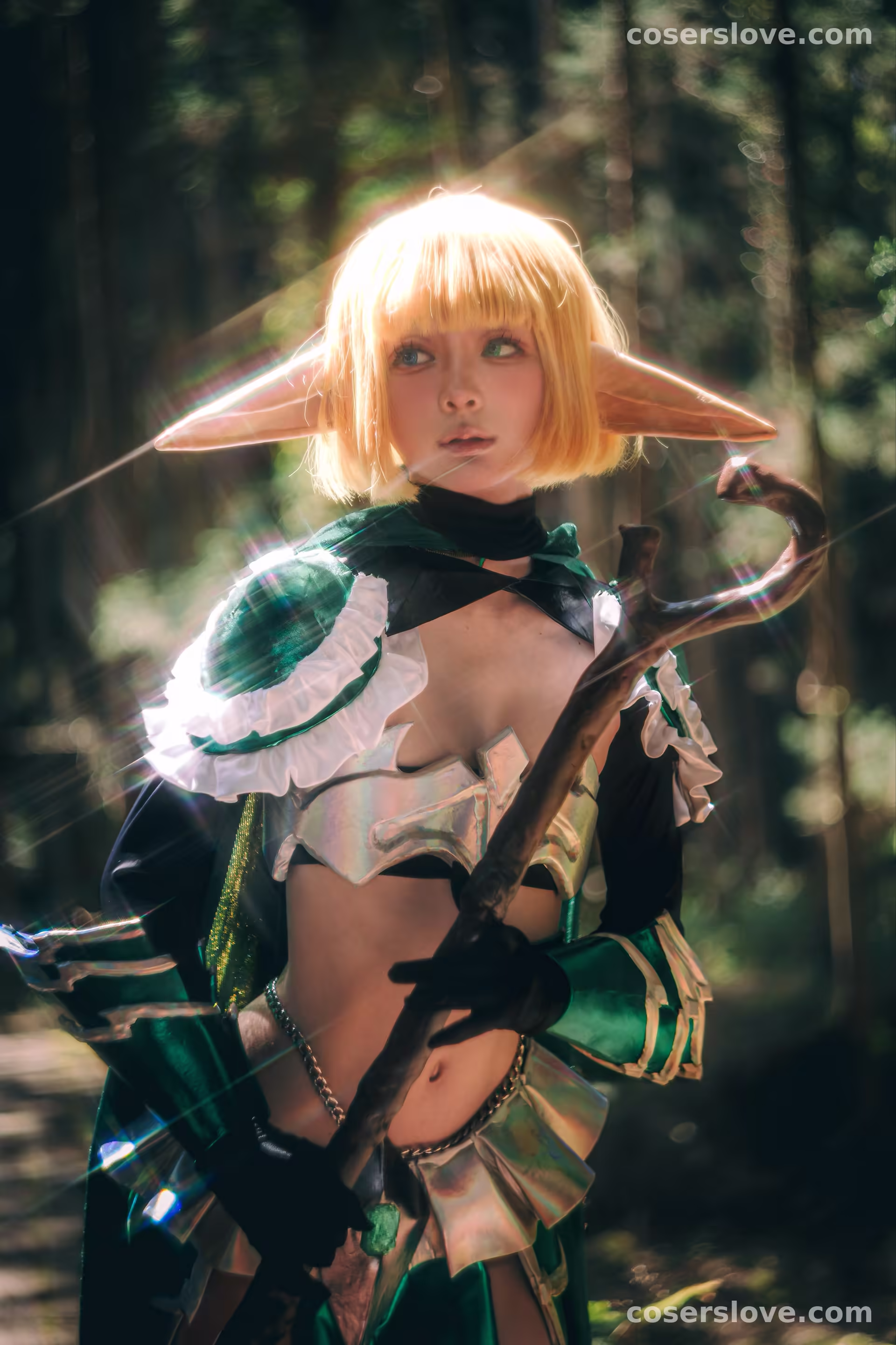 Photo 24