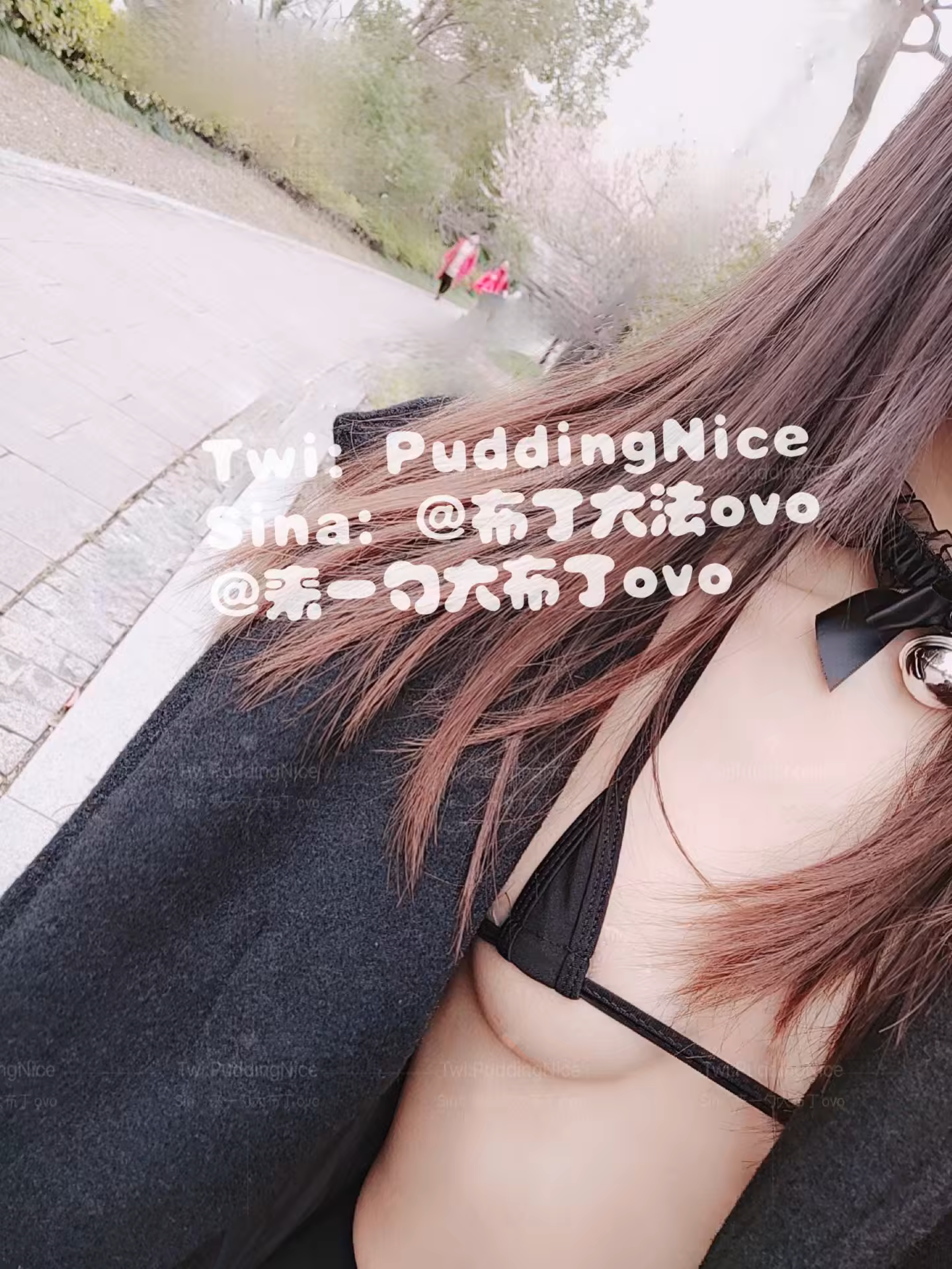 Photo 39