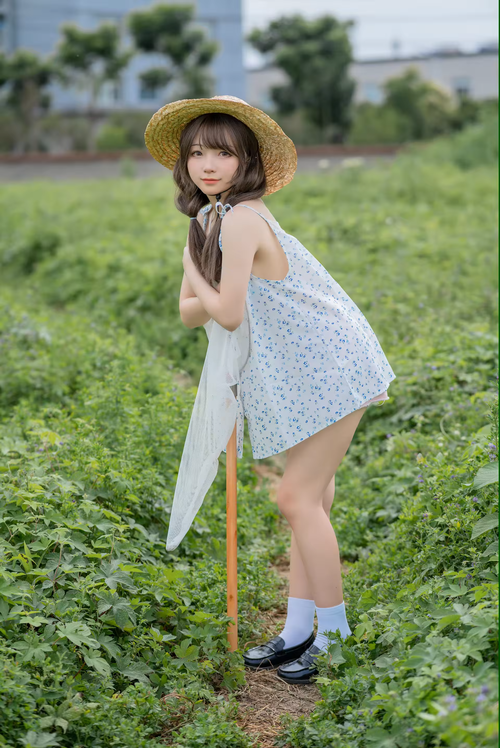 Photo 35