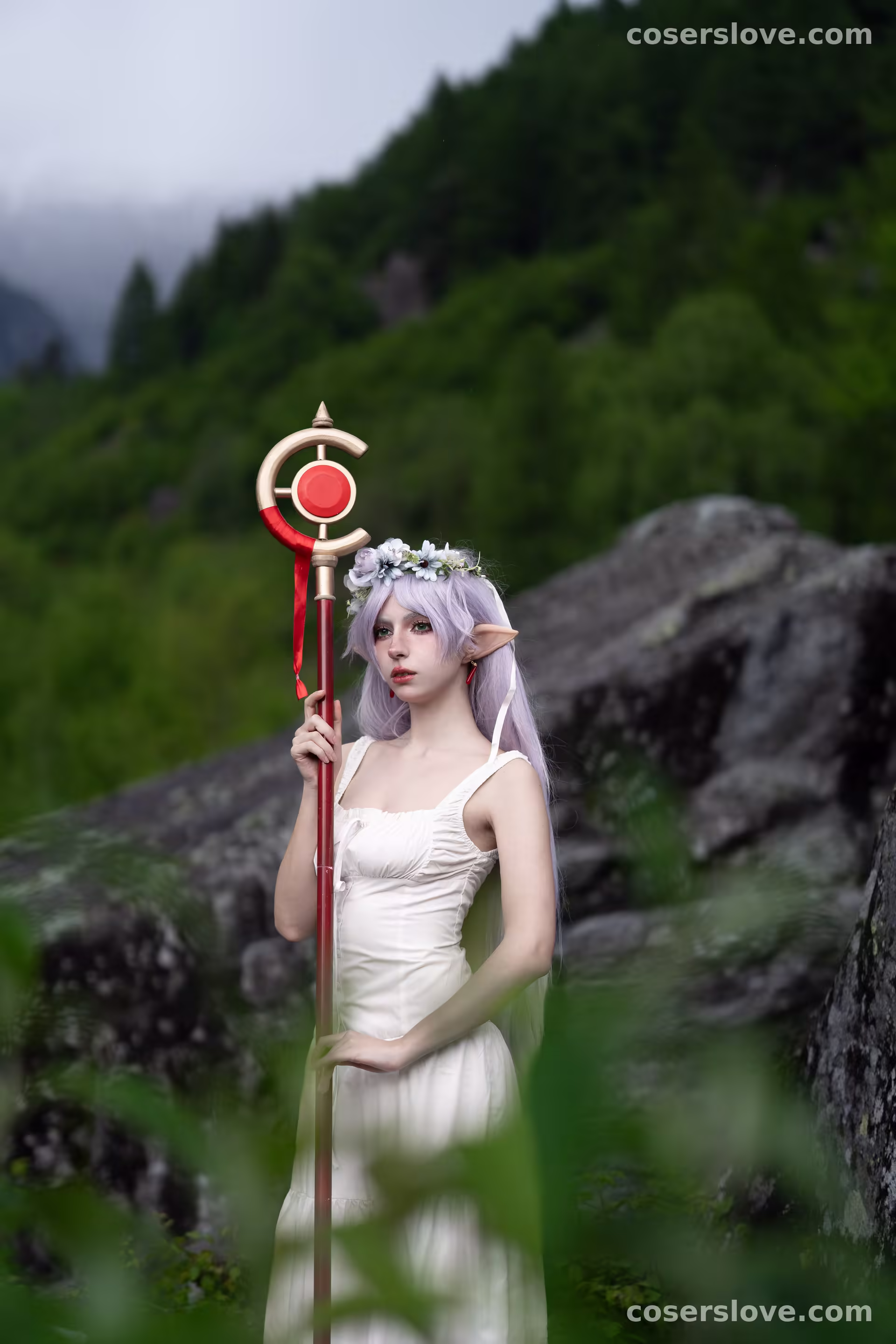 Photo 24