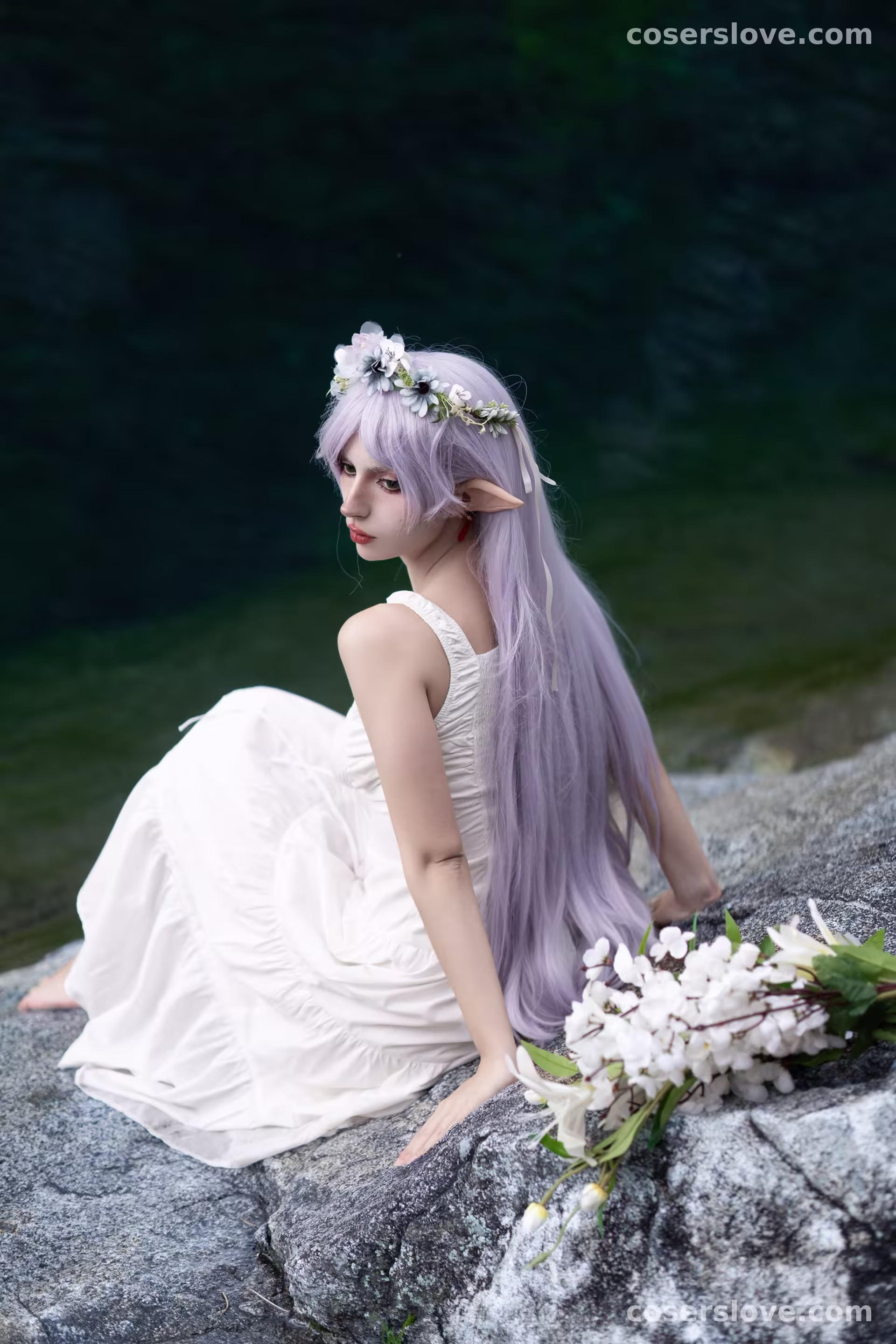 Photo 50