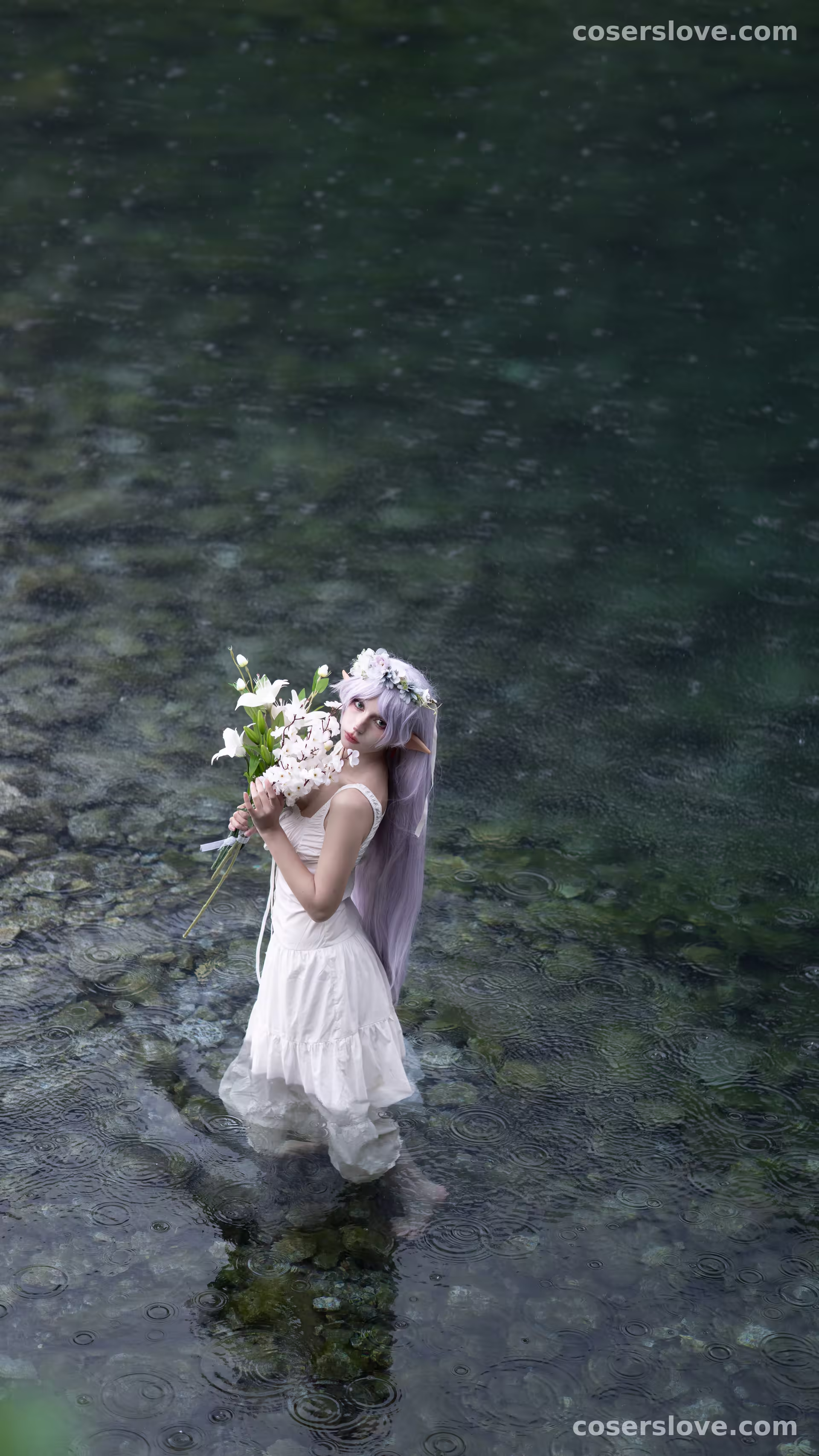 Photo 44