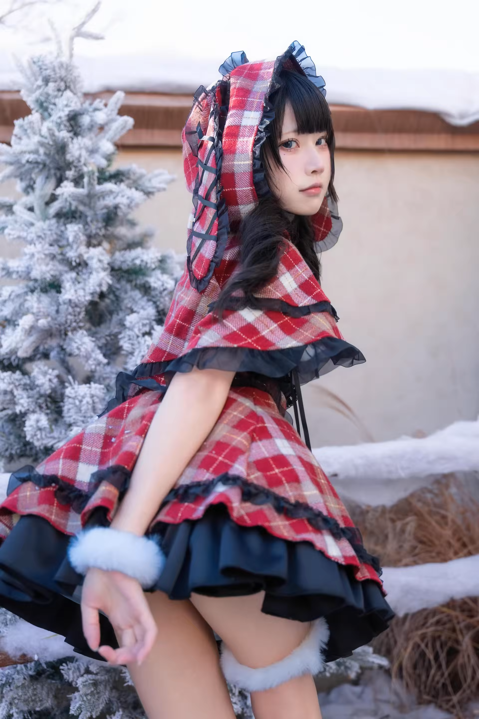 Photo 54