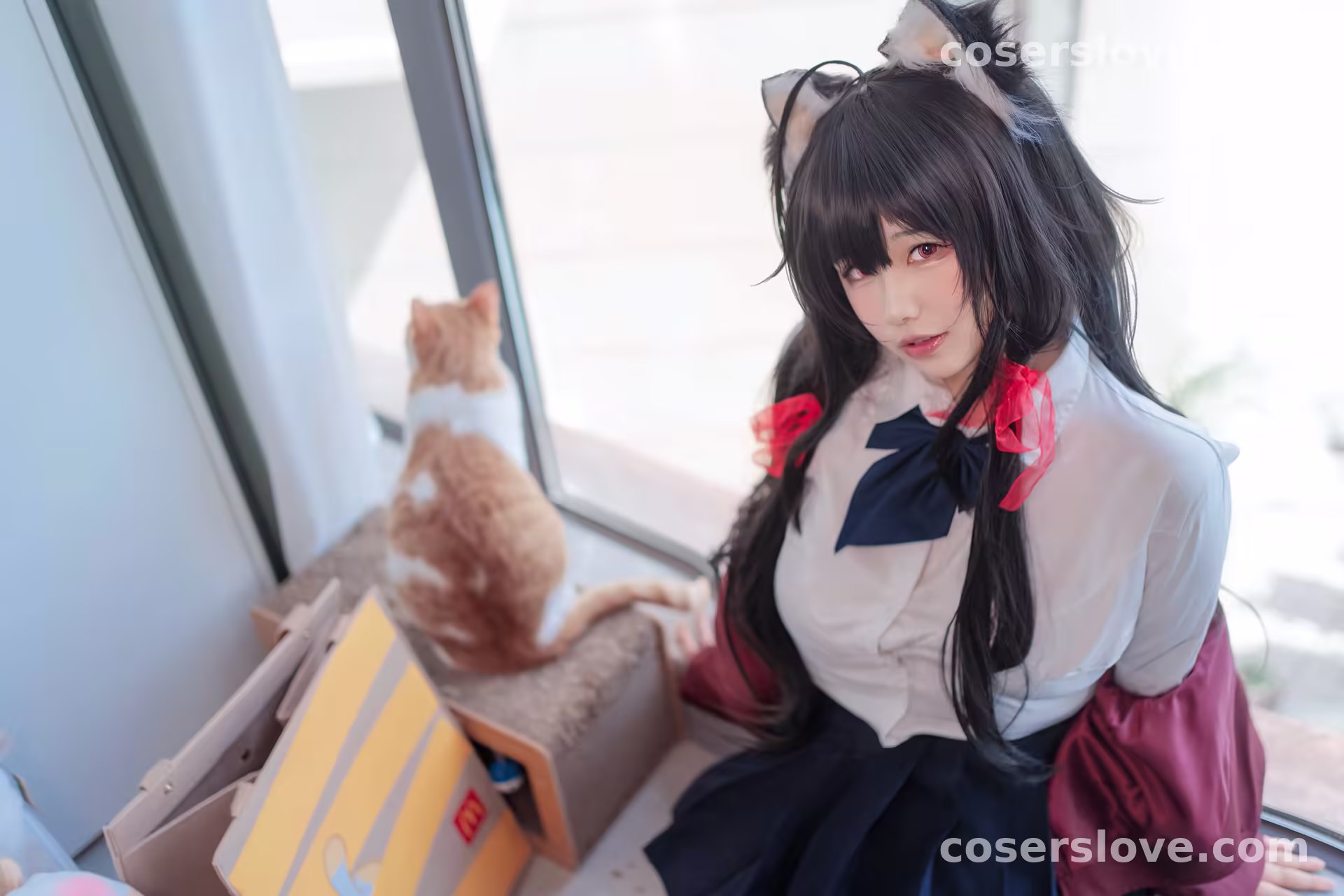 Photo 19