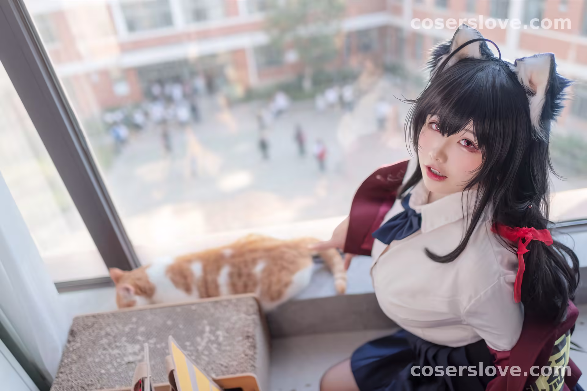 Photo 26