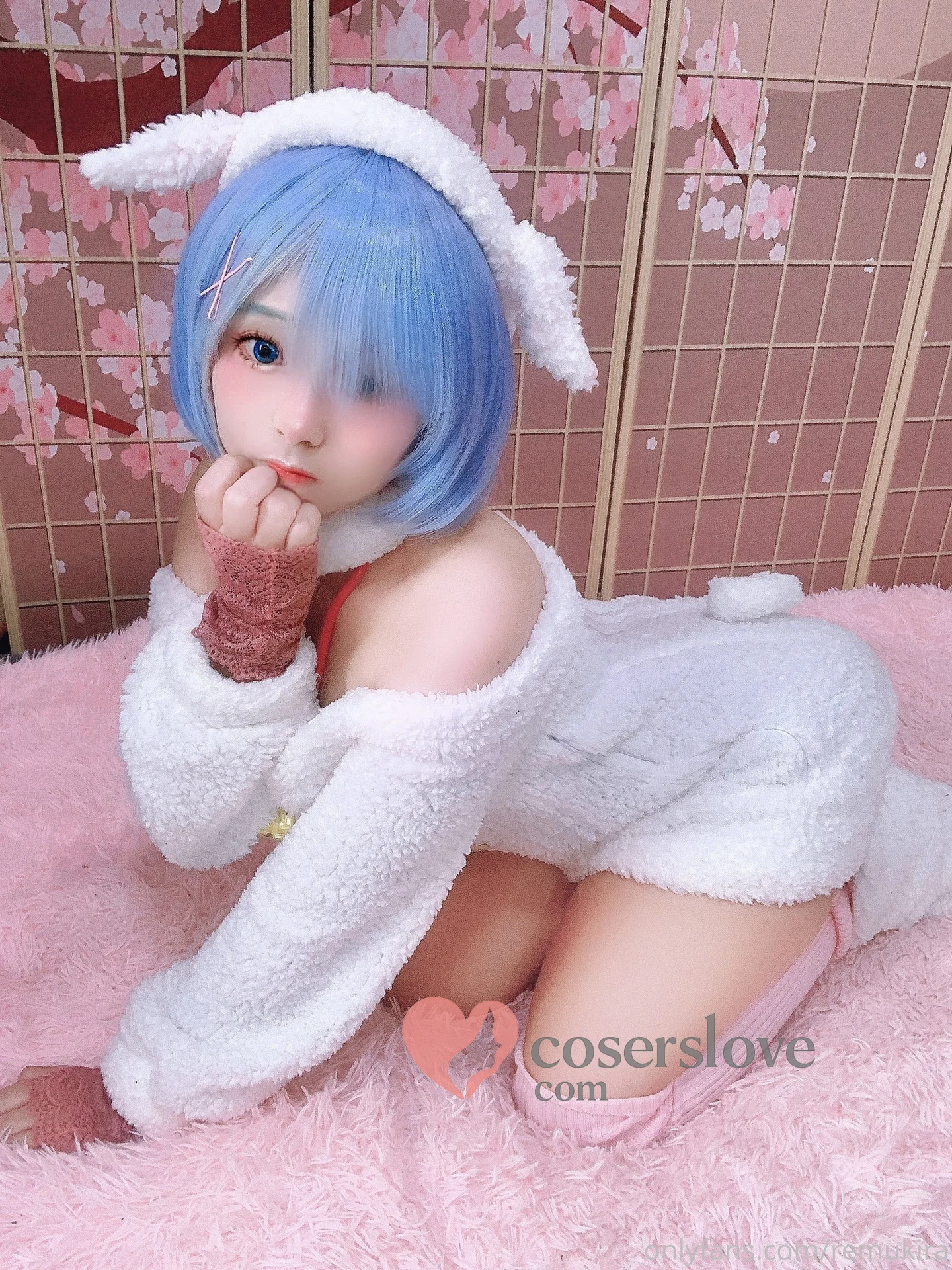 Photo 46
