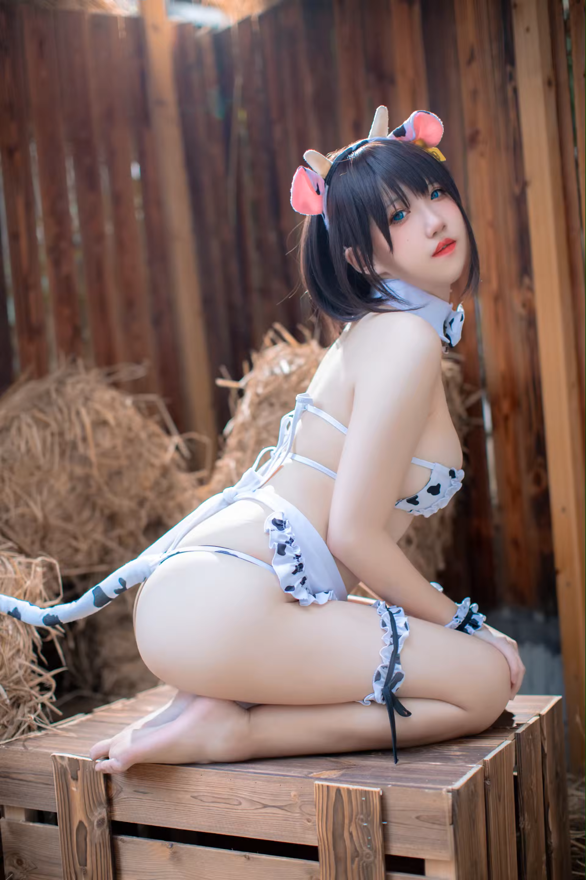 Photo 40