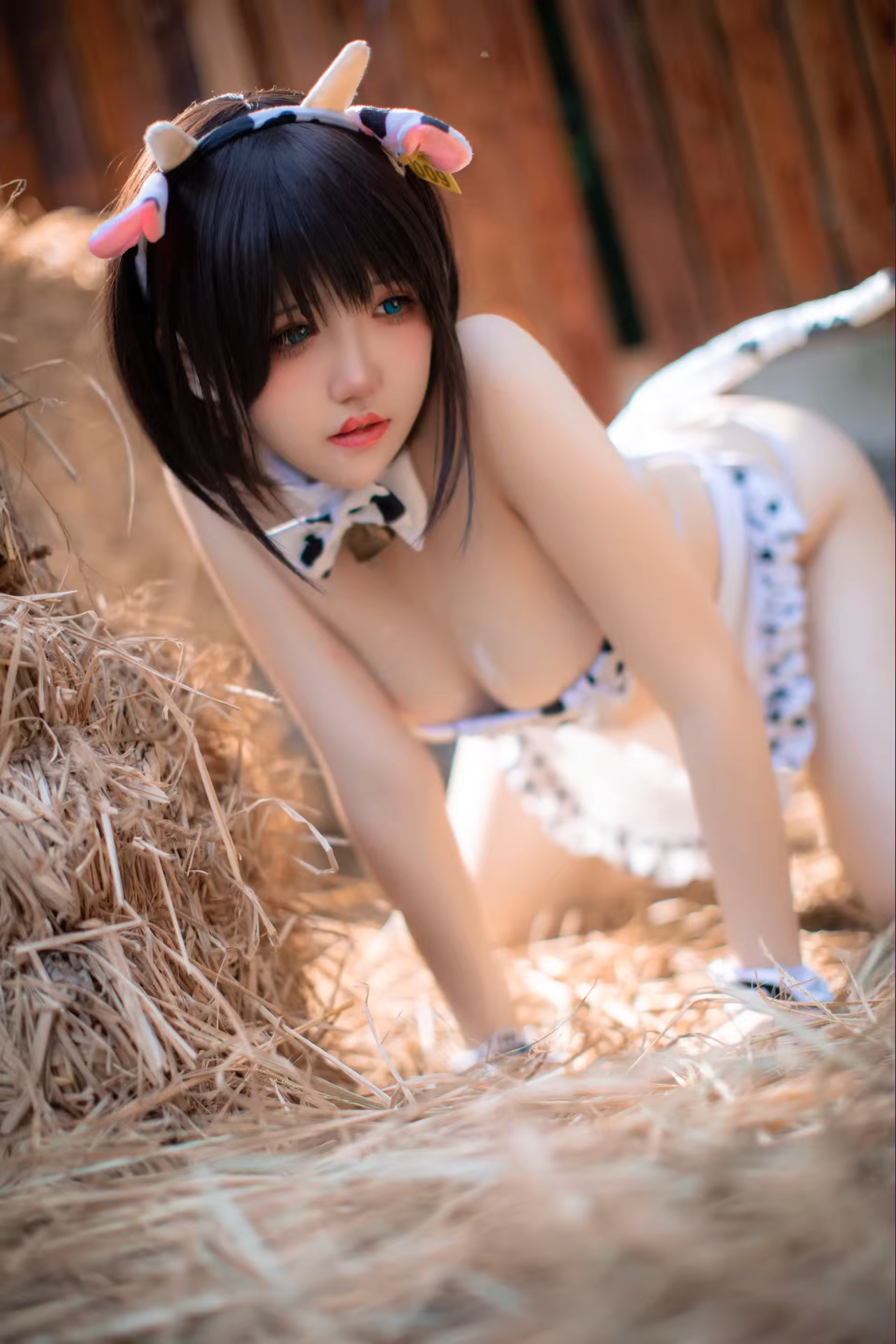 Photo 6