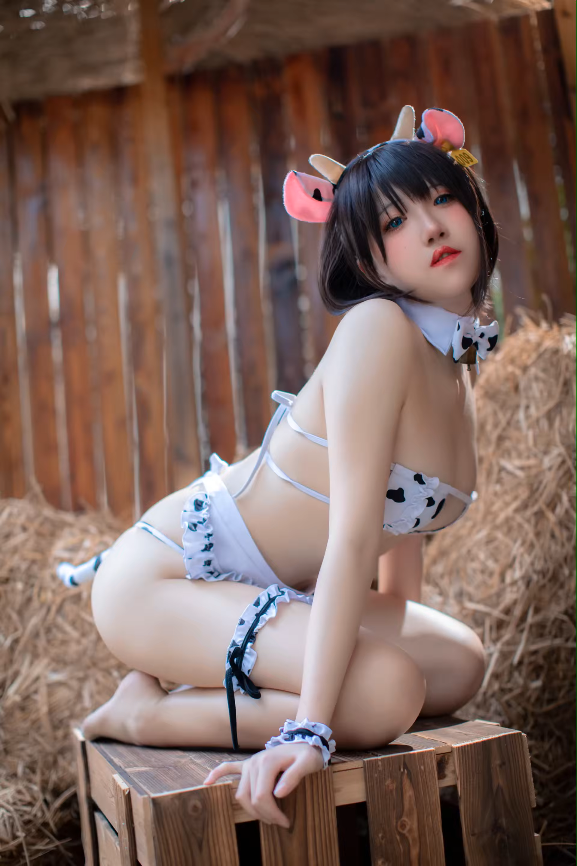 Photo 43