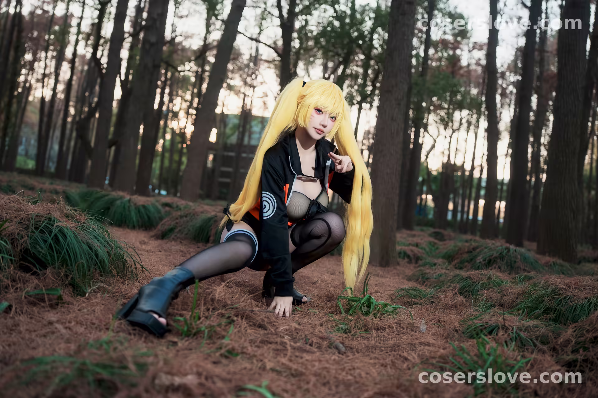 Photo 33