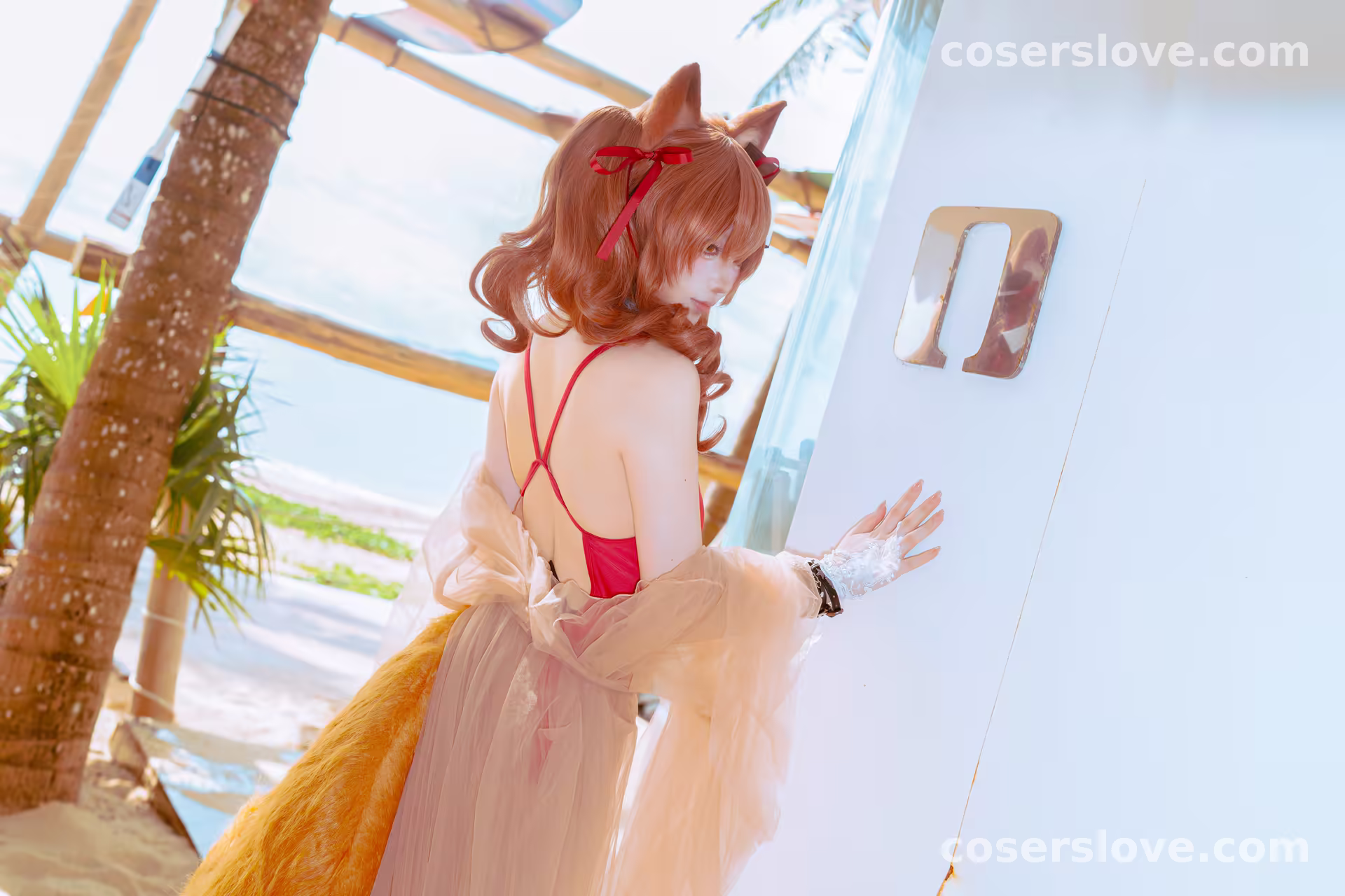 Photo 44