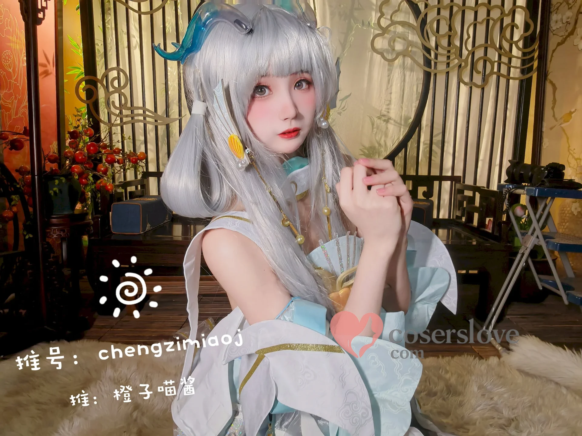Photo 41