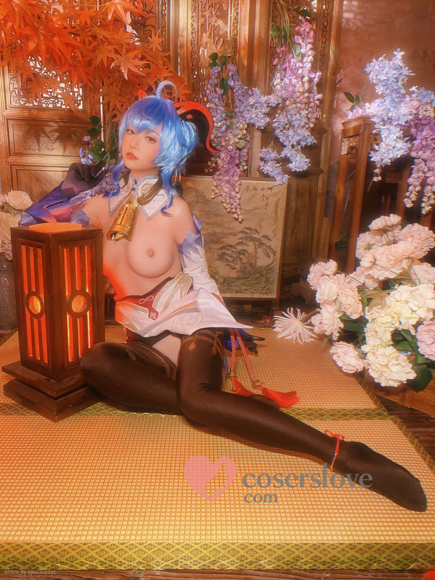 Photo 50