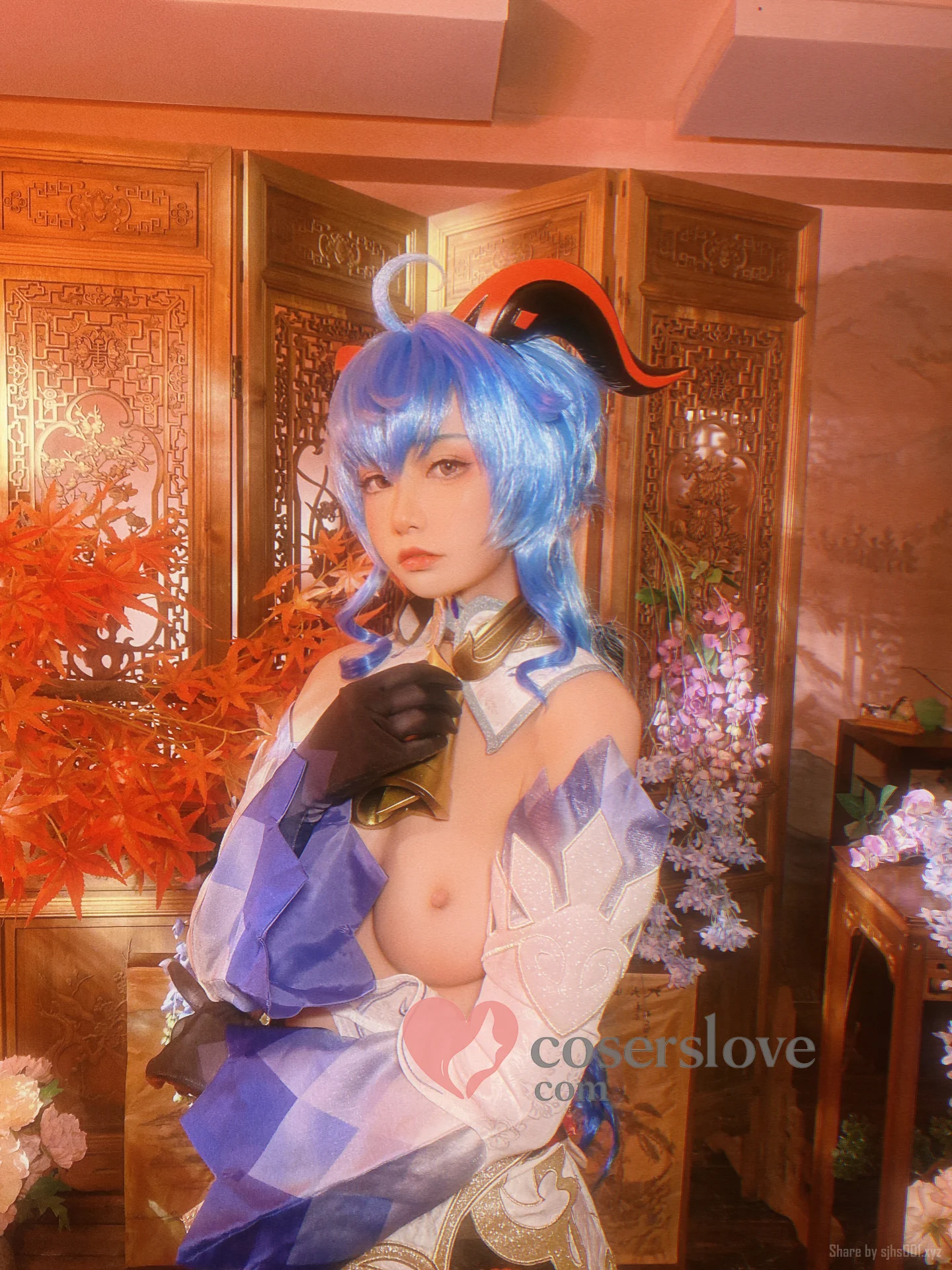 Photo 51