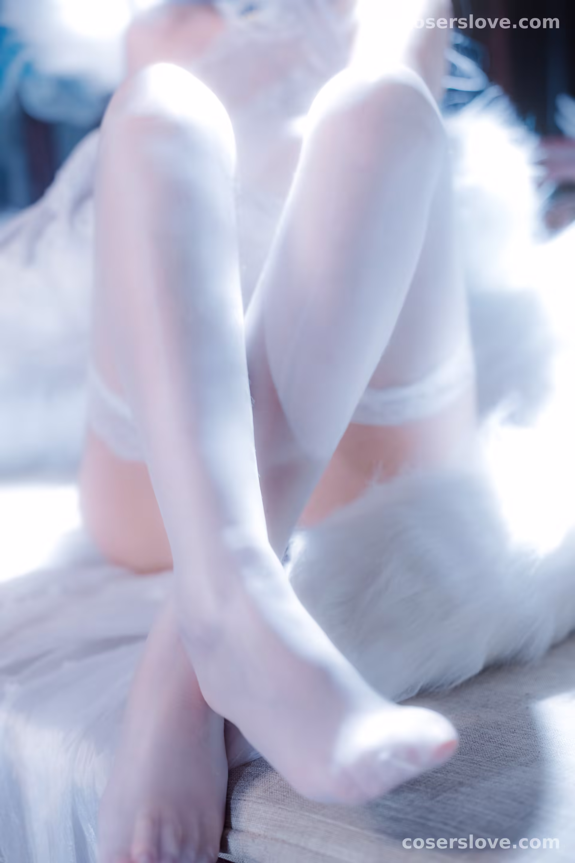 Photo 51