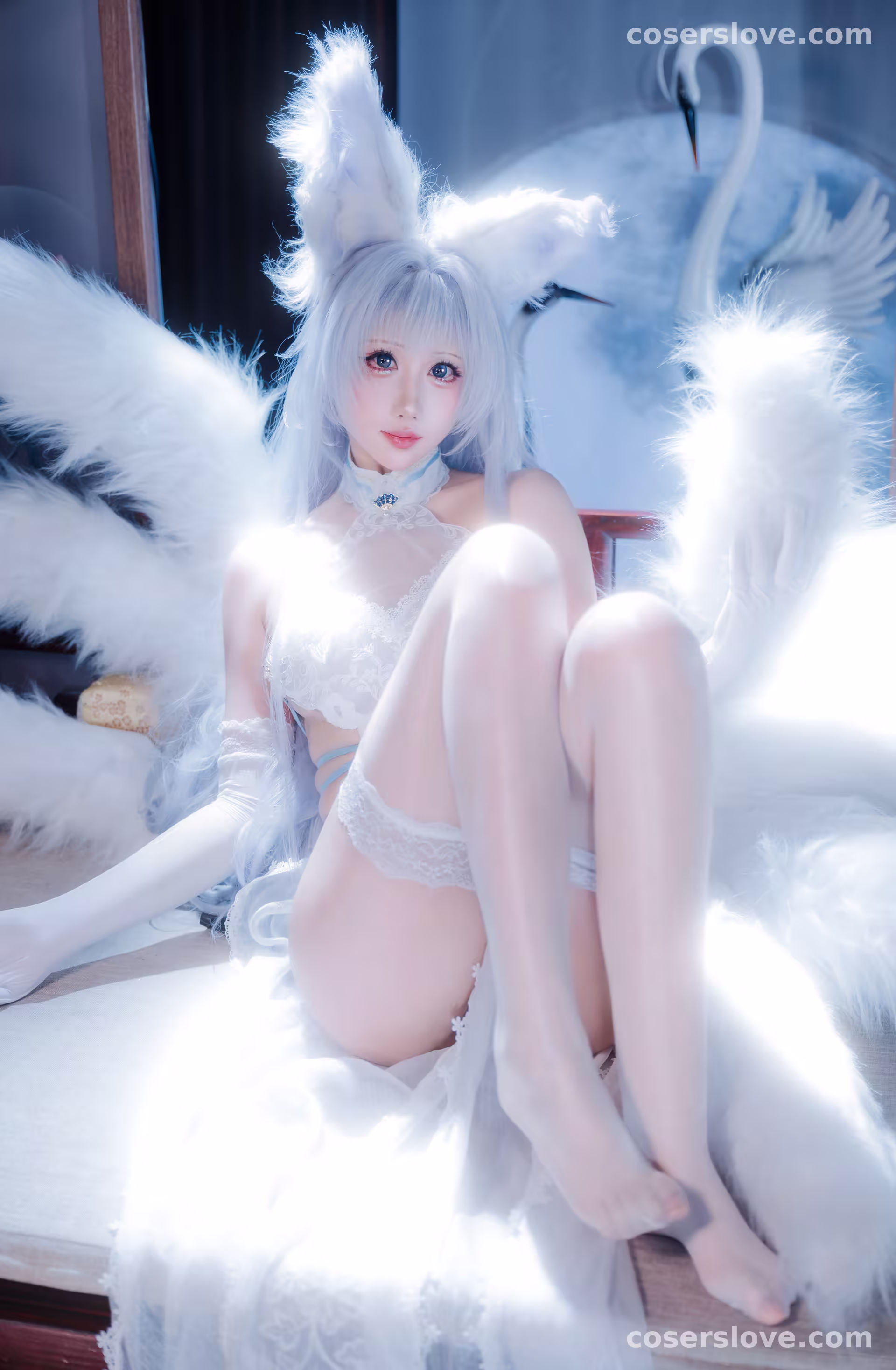 Photo 44
