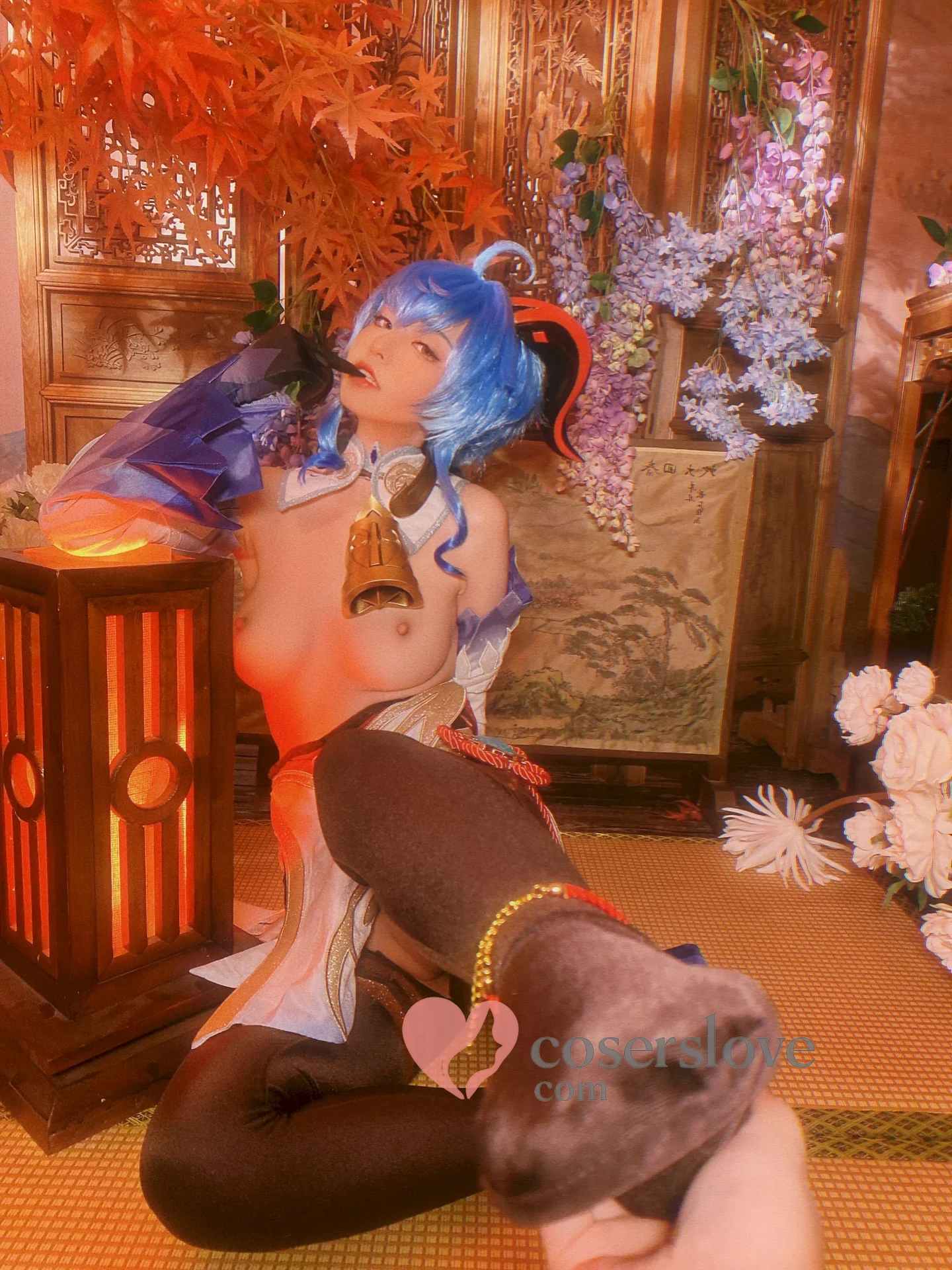 Photo 42