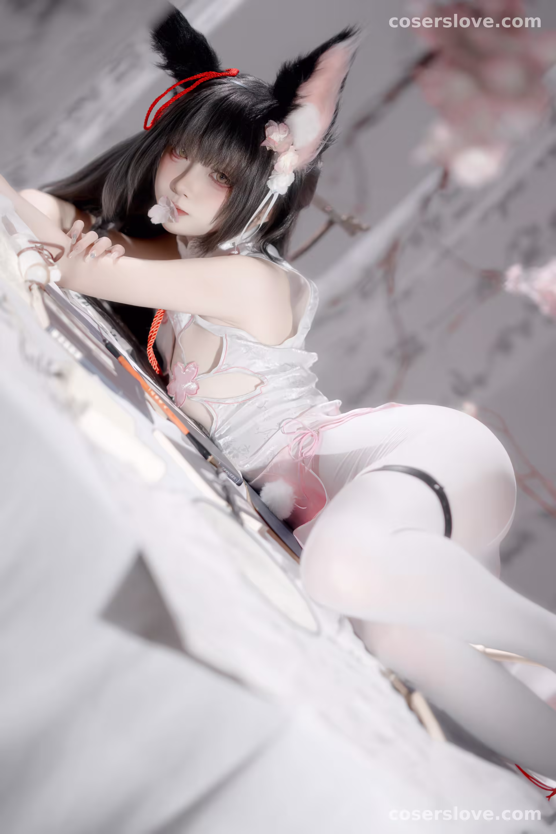 Photo 31