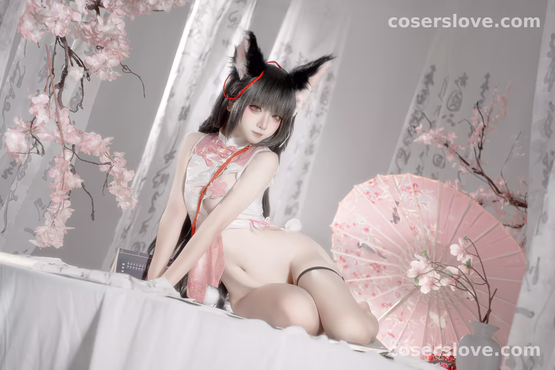 Photo 55