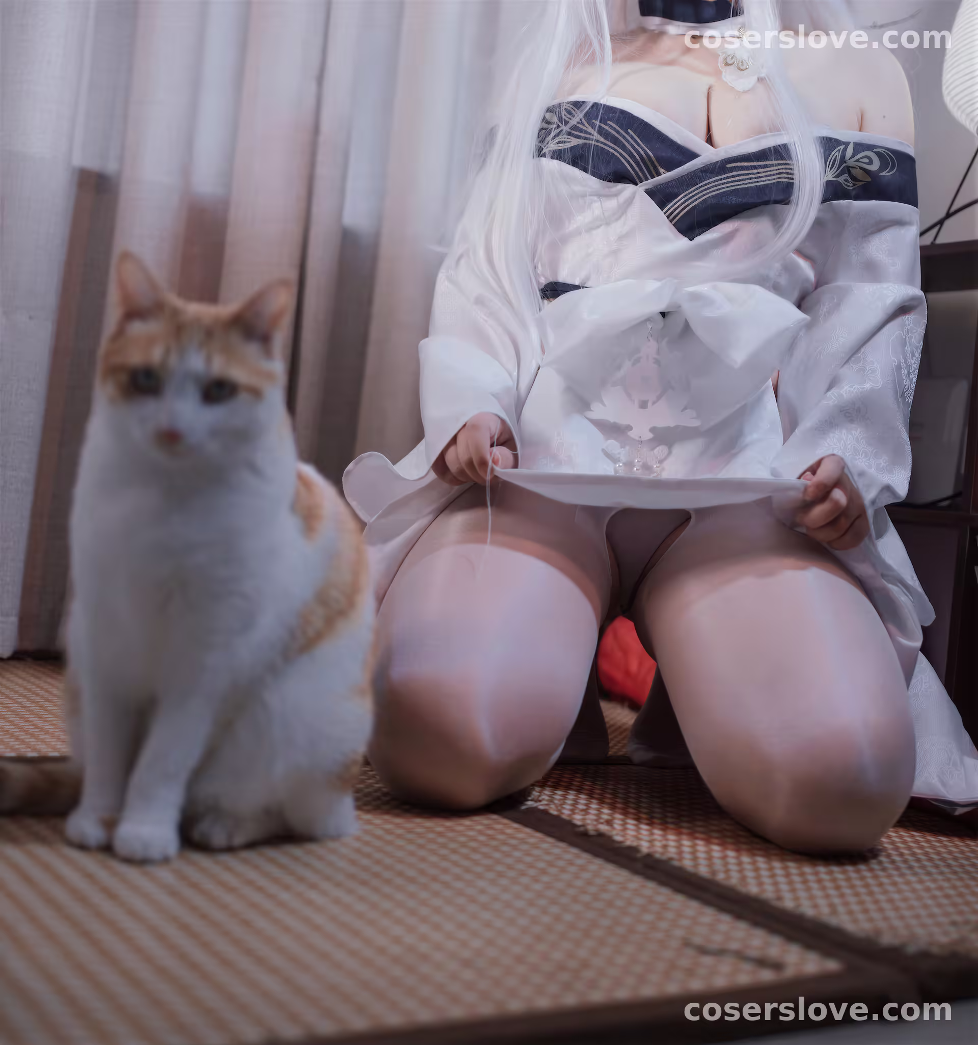 Photo 42