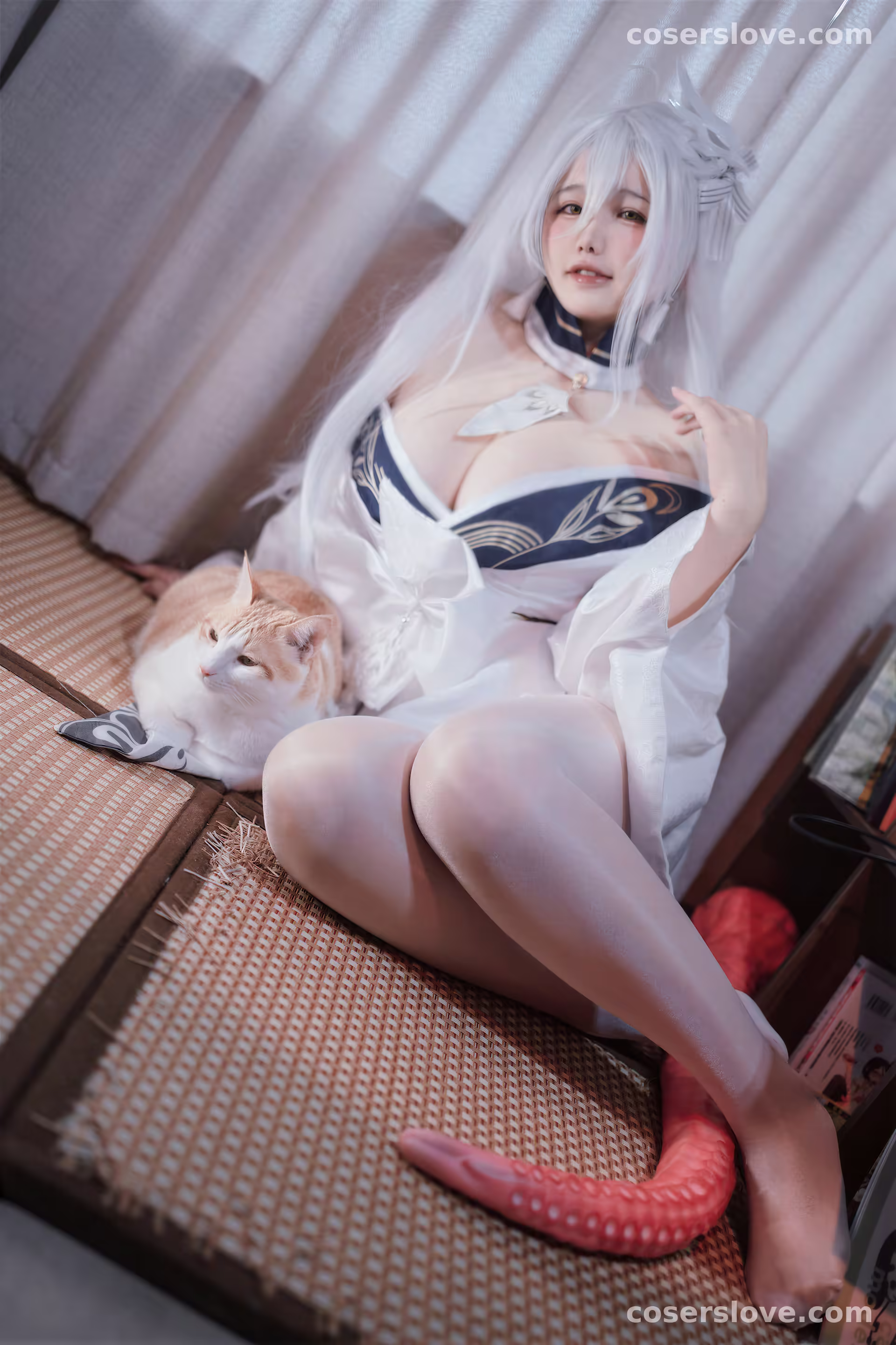 Photo 25
